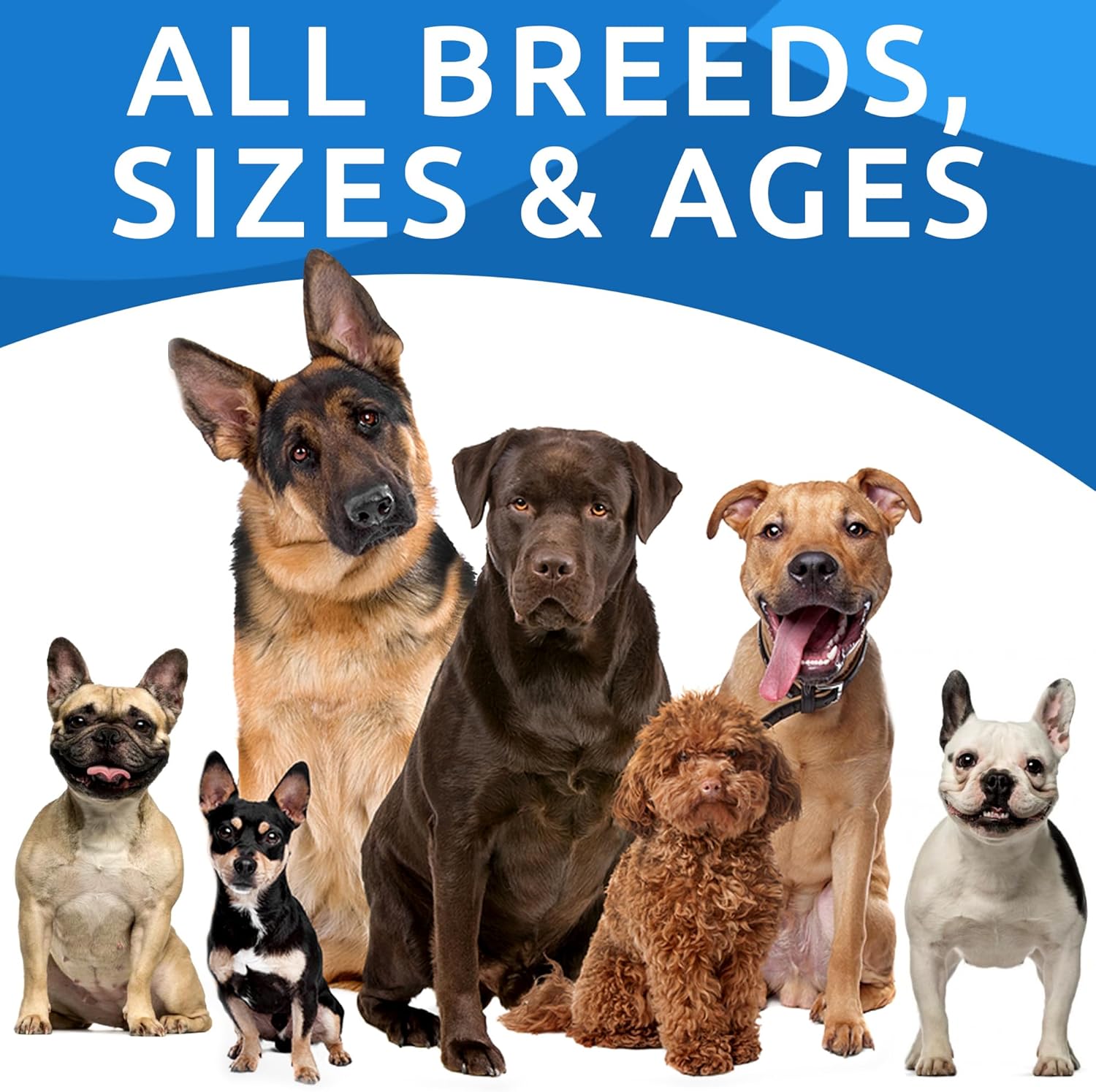 Omega 3 Fish Oil Dog Allergy Relief Chews - Anti-Itch Skin & Coat Supplement - Itching & Paw Licking Treatment - Hot Spots & Dry Skin Relief - Chicken Liver Flavor - 180 Treats