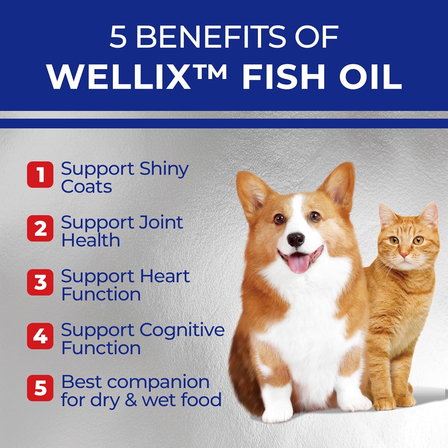 Omega 3 Fish Oil for Dogs with EPA & DHA, Skin & Coat Supplement for Pets, Supports Heart, Joint, and Immune Health