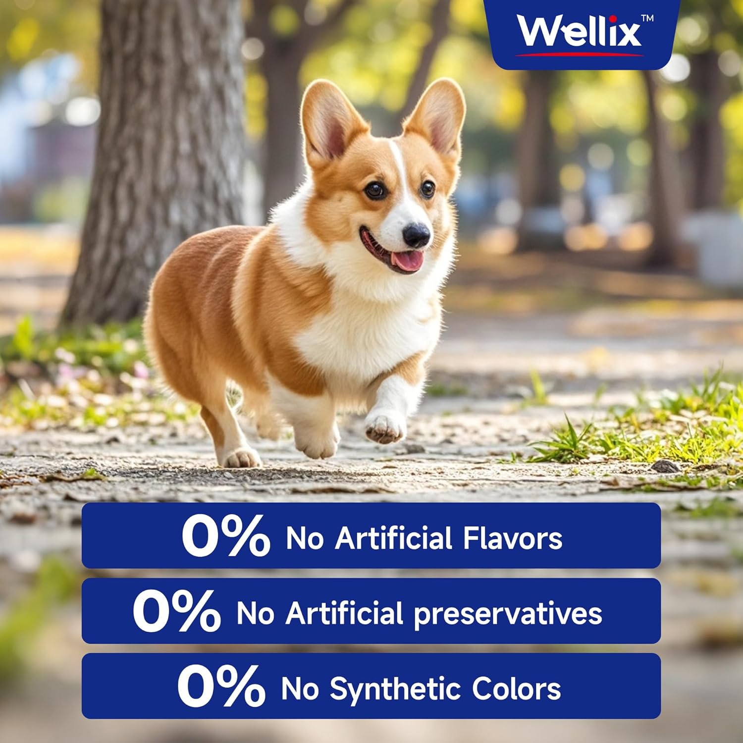 Omega 3 Fish Oil for Dogs with EPA & DHA, Skin & Coat Supplement for Pets, Supports Heart, Joint, and Immune Health