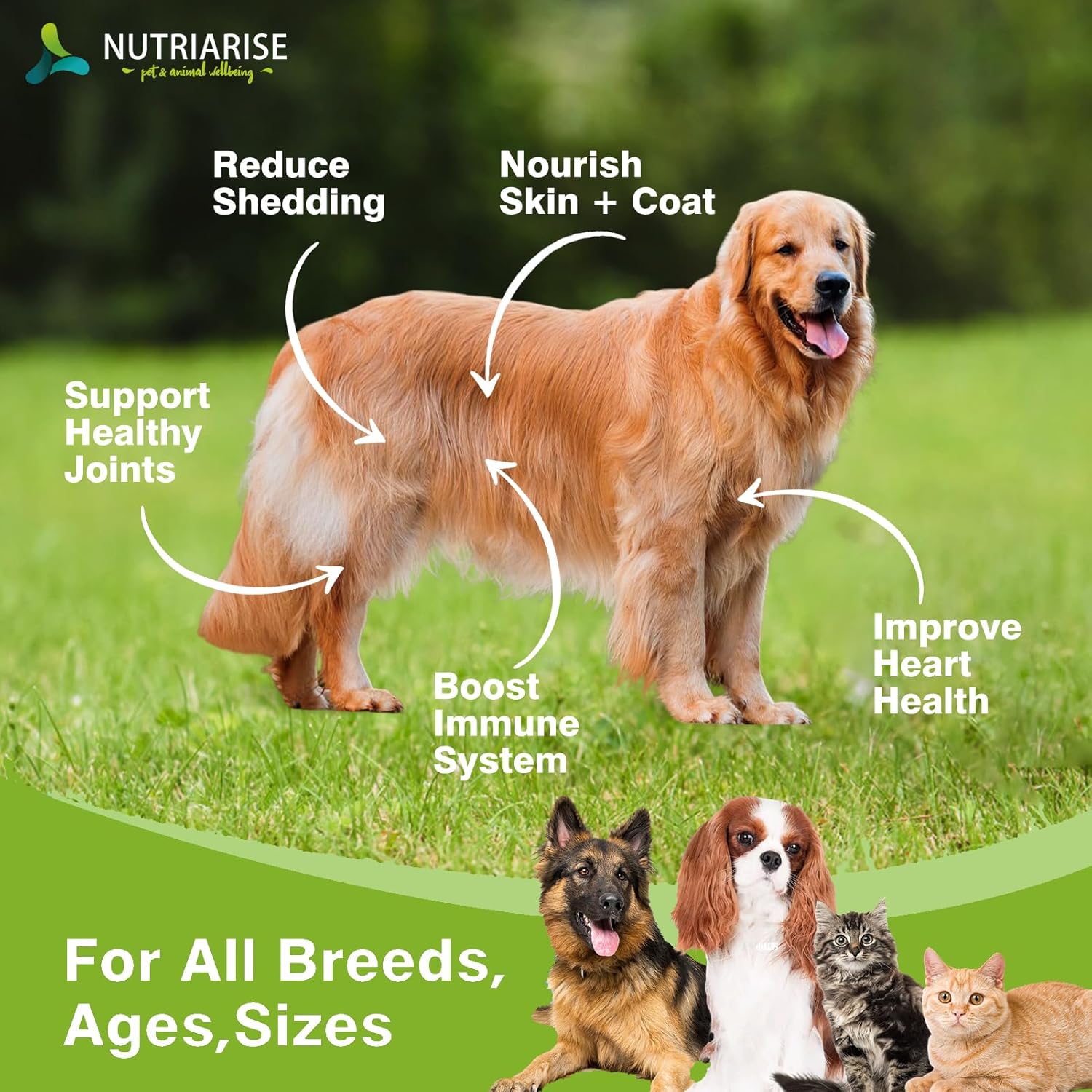 Omega 3 Fish Oil Supplement for Dogs and Cats - Skin and Coat Health - EPA & DHA Fatty Acids - 120 Softgels