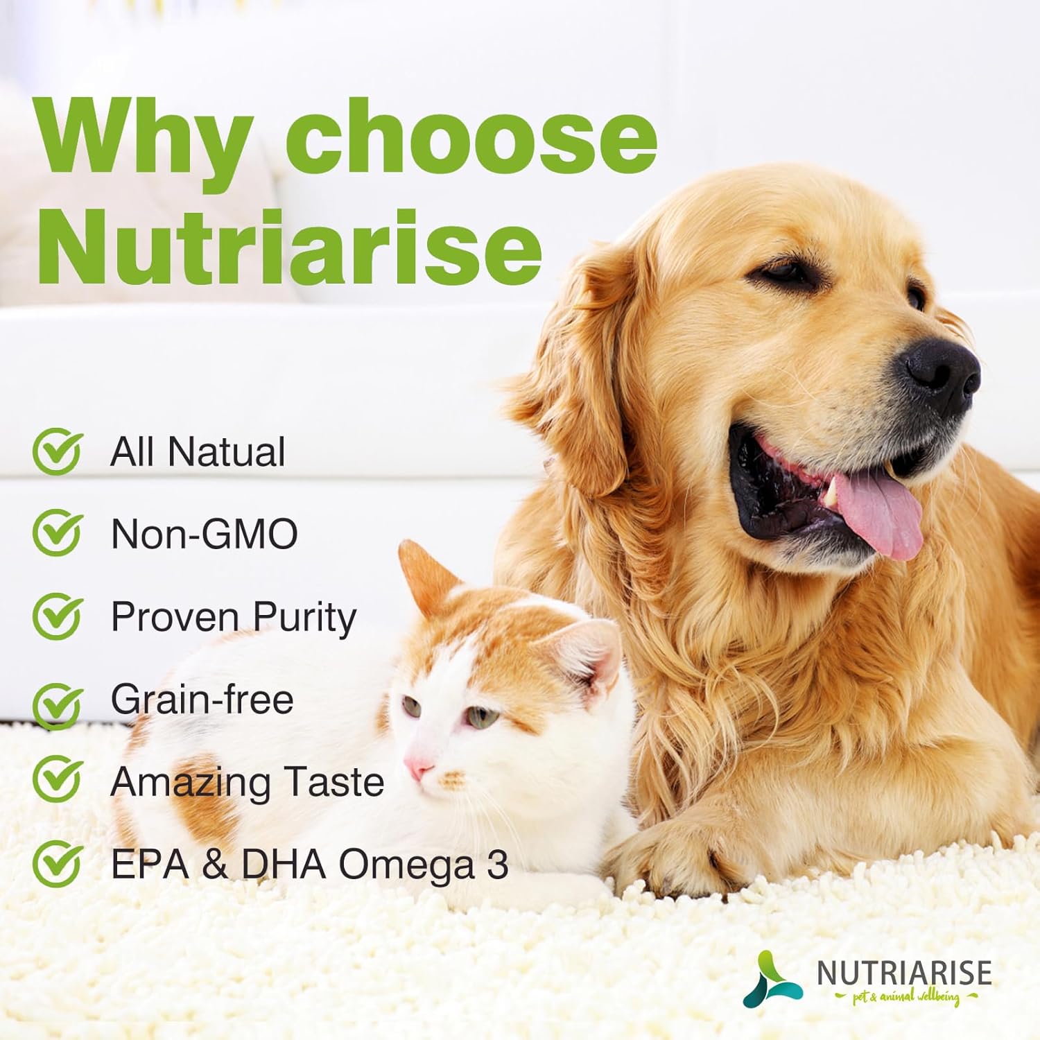 Omega 3 Fish Oil Supplement for Dogs and Cats - Skin and Coat Health - EPA & DHA Fatty Acids - 120 Softgels