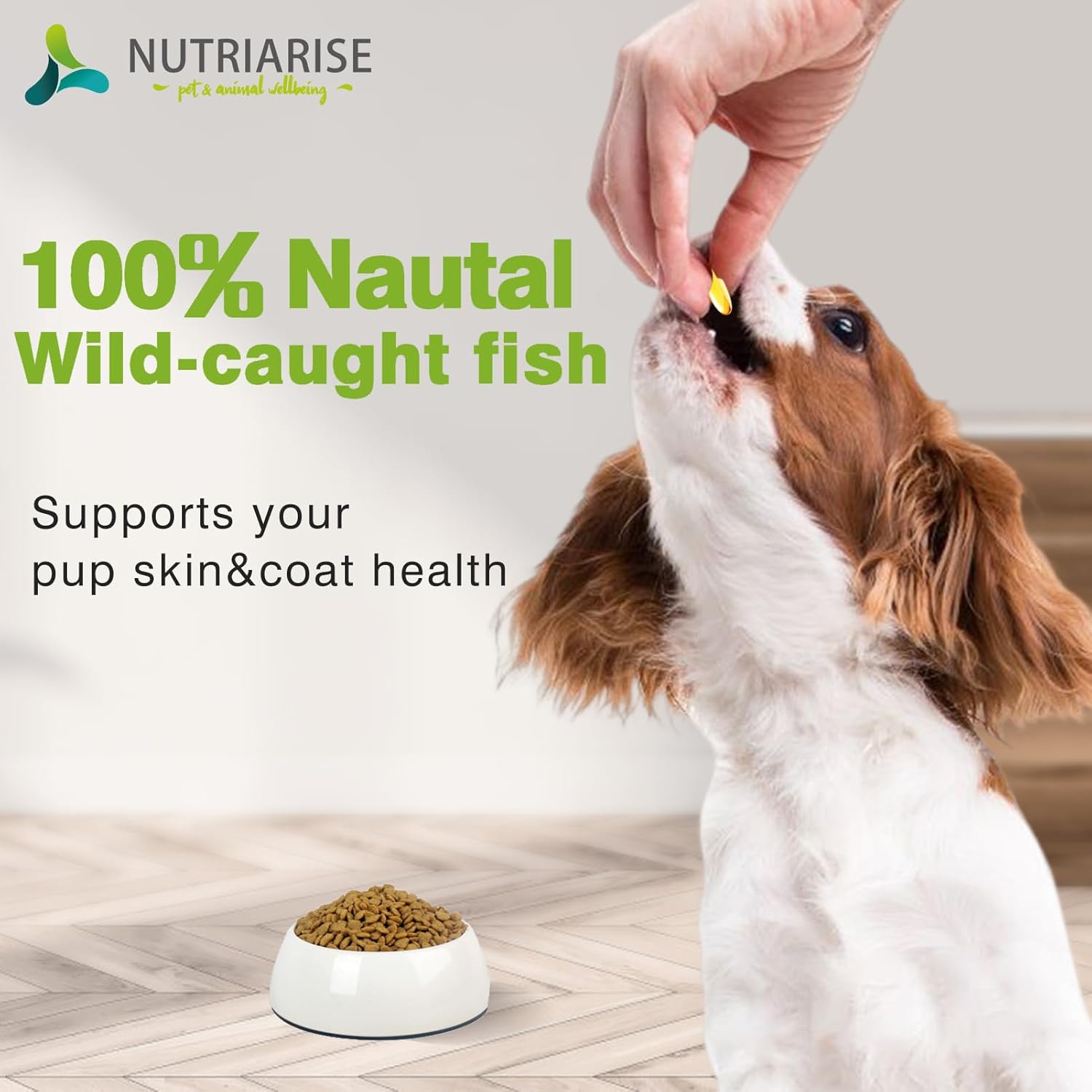 Omega 3 Fish Oil Supplement for Dogs and Cats - Skin and Coat Health - EPA & DHA Fatty Acids - 120 Softgels