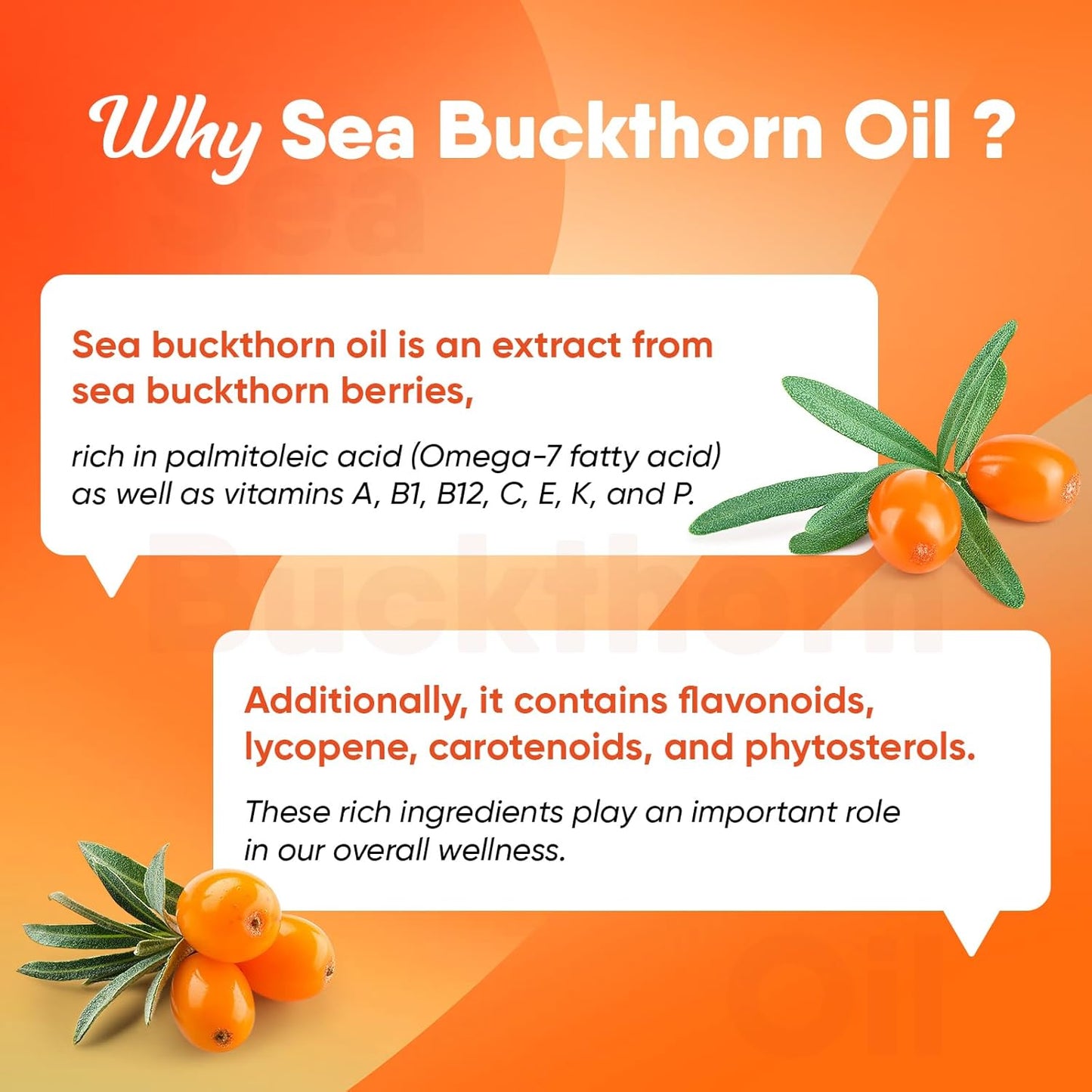 Omega-7 Sea Buckthorn Oil with Fish Oil, Cinnamomum, Fenugreek, Green Tea - Non-GMO, Gluten-Free (2 Pack) - BoostGo Australia