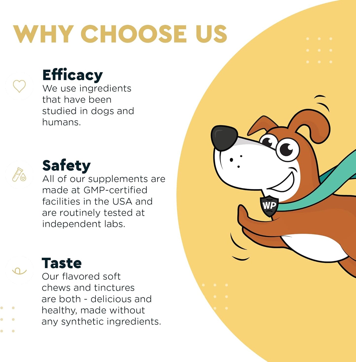 Omega Max Fish Oil Plus Daily Multivitamin Chews for Dogs - Joint Health, Skin Moisture, Immune System Support - 16oz Omega Max Fish Oil with 60 Multivitamin Chews