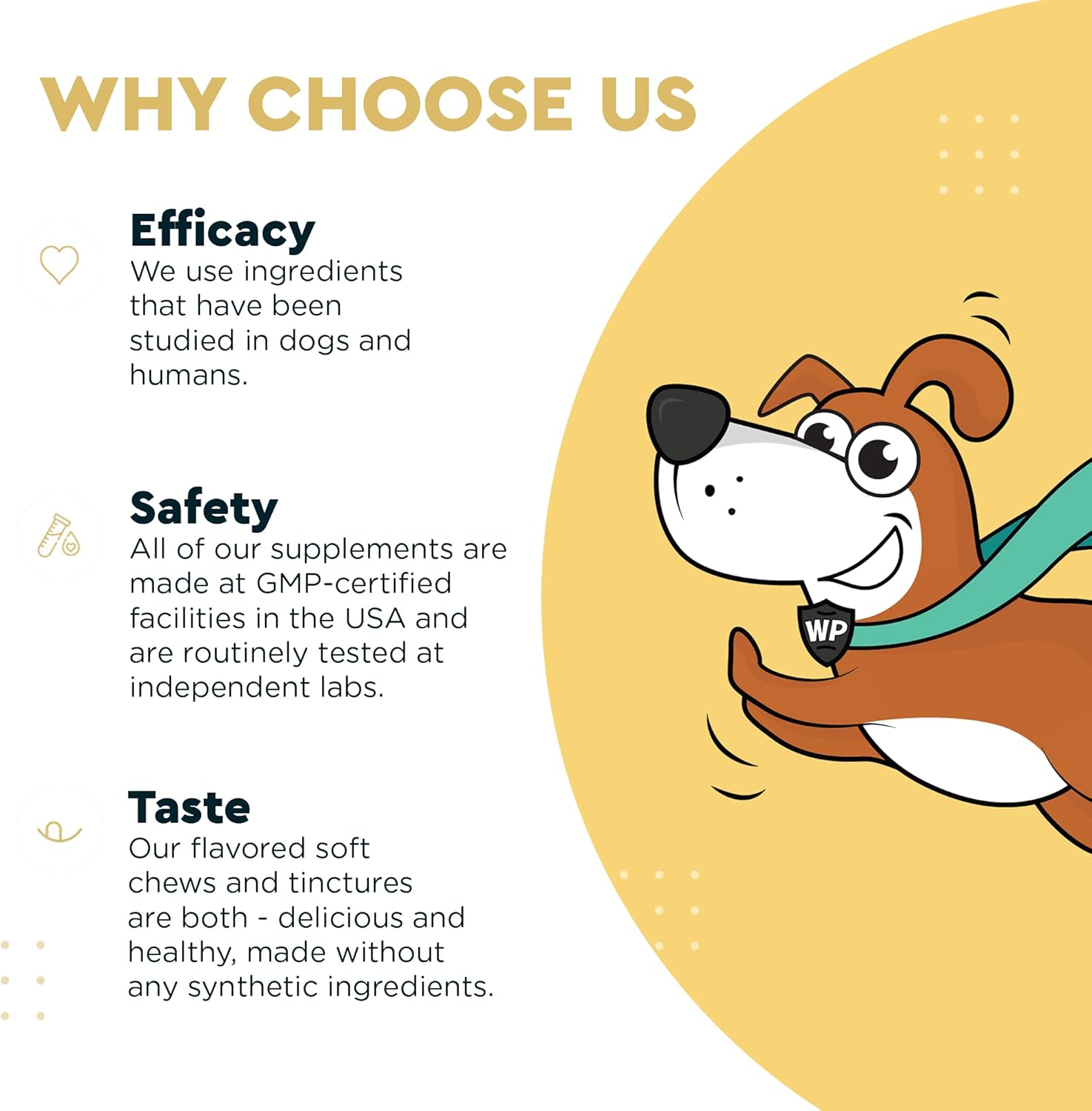 Omega Max Fish Oil Plus Daily Multivitamin Chews for Dogs - Joint Health, Skin Moisture, Immune System Support - 16oz Omega Max Fish Oil with 60 Multivitamin Chews