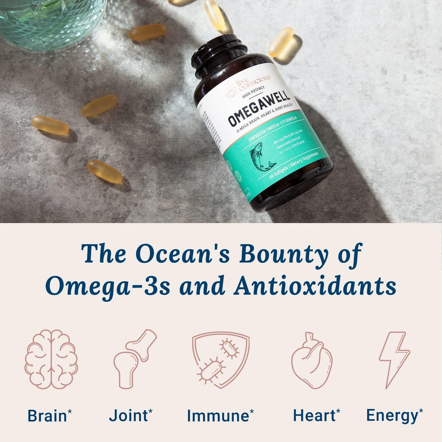 OmegaWell Fish Oil Capsules 800mg EPA 600mg DHA - Heart, Brain, Joint Support - Enteric-Coated, Sustainably Sourced - Easy to Swallow 120 Count (2-Pack)