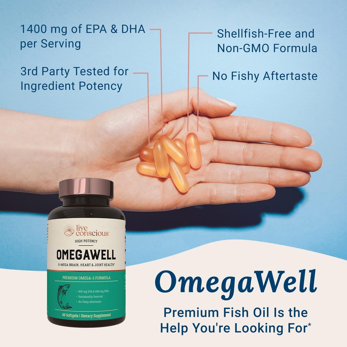 OmegaWell Fish Oil Capsules 800mg EPA 600mg DHA - Heart, Brain, Joint Support - Enteric-Coated, Sustainably Sourced - Easy to Swallow 120 Count (2-Pack)