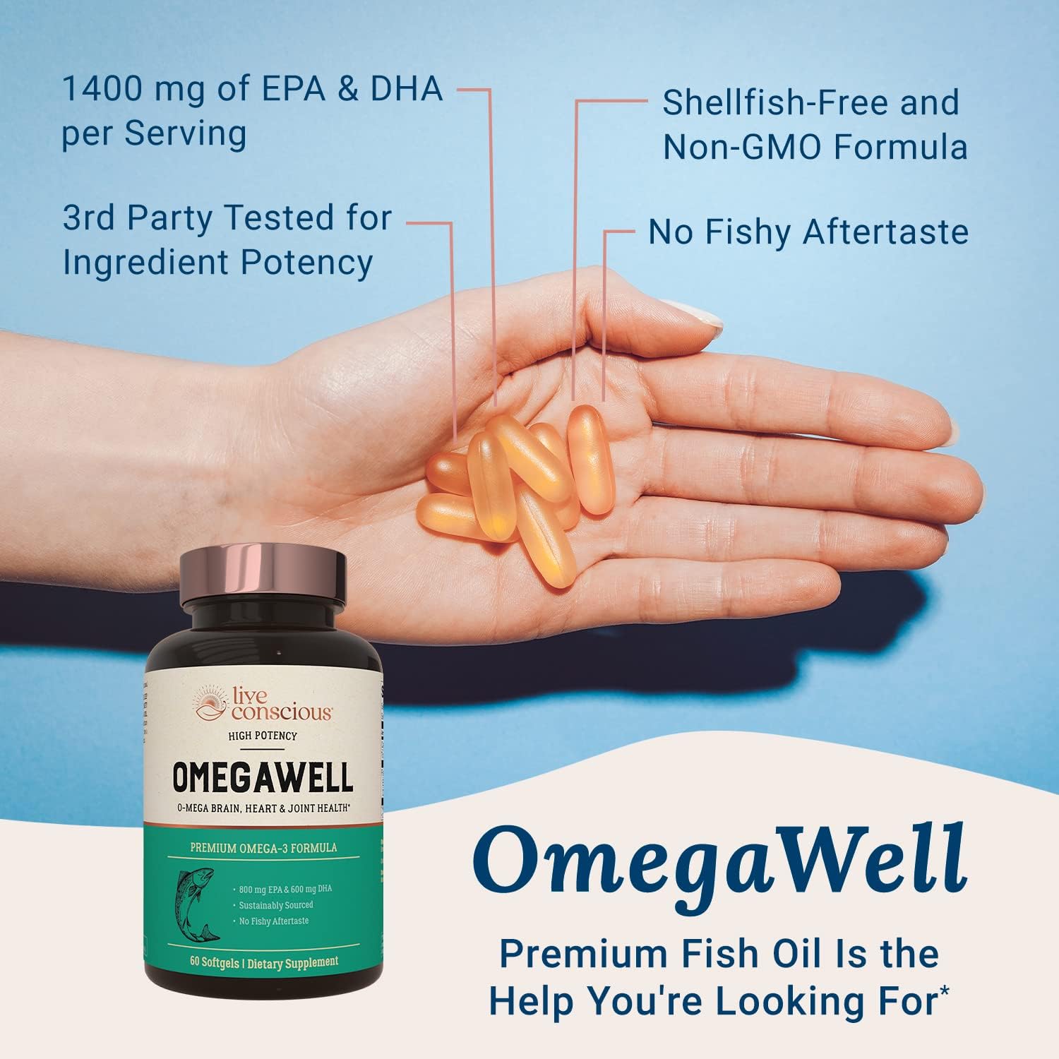 OmegaWell Fish Oil Capsules 800mg EPA 600mg DHA - Heart, Brain, Joint Support - Enteric-Coated, Sustainably Sourced - Easy to Swallow 120 Count (2-Pack)