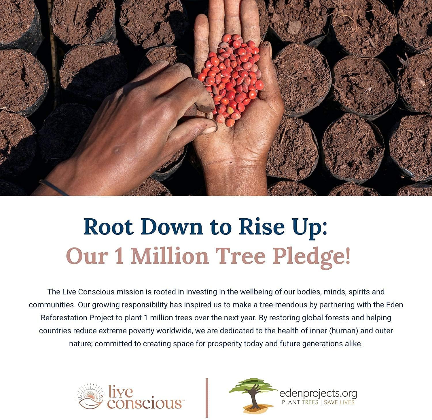 OmegaWell Fish Oil & MagWell Magnesium Zinc + Vitamin D3 Supplement for Bone, Heart, and Immune Health - Heart, Brain, and Joint Support