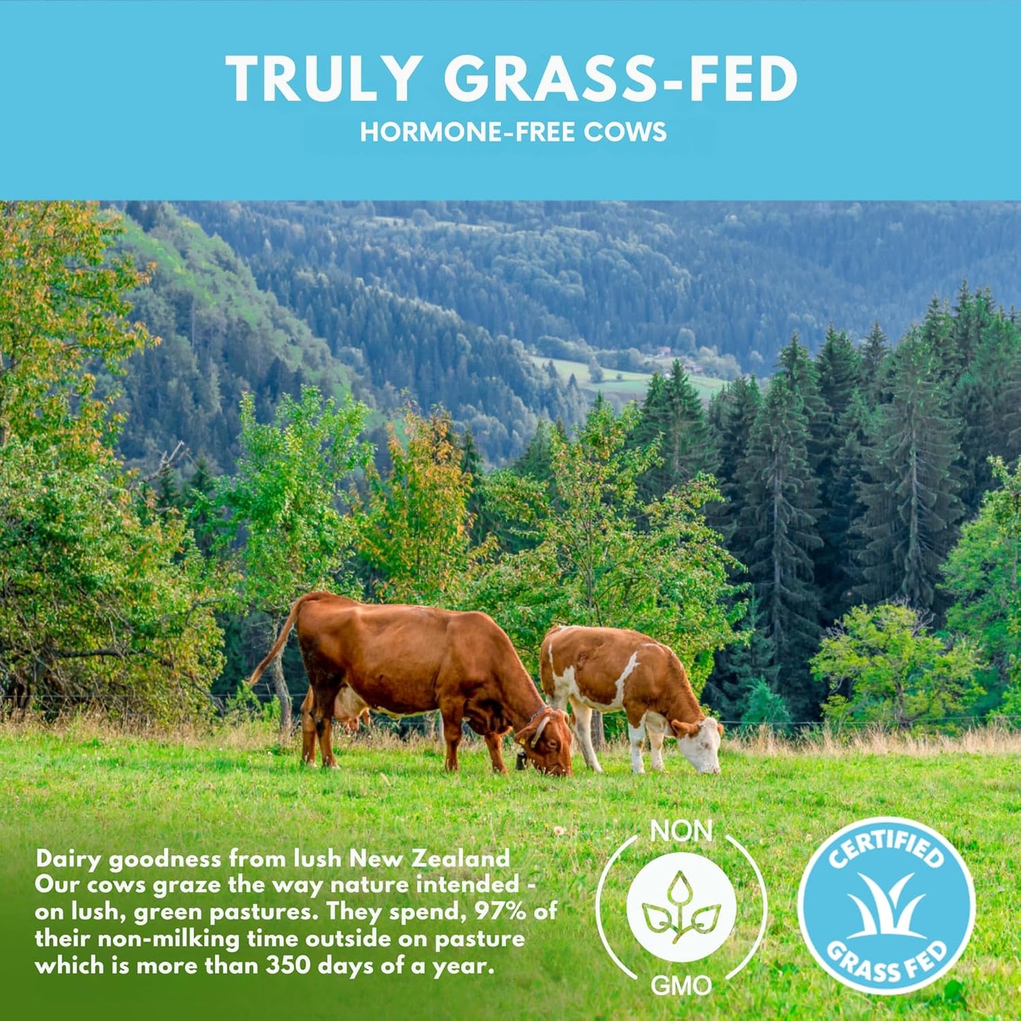 Opportuniteas Grass Fed Whey Isolate Protein Powder - 28g Unflavored Protein, No Artificial Sweeteners, Hormone-Free Cows, Non GMO - 5lb - BoostGo Australia
