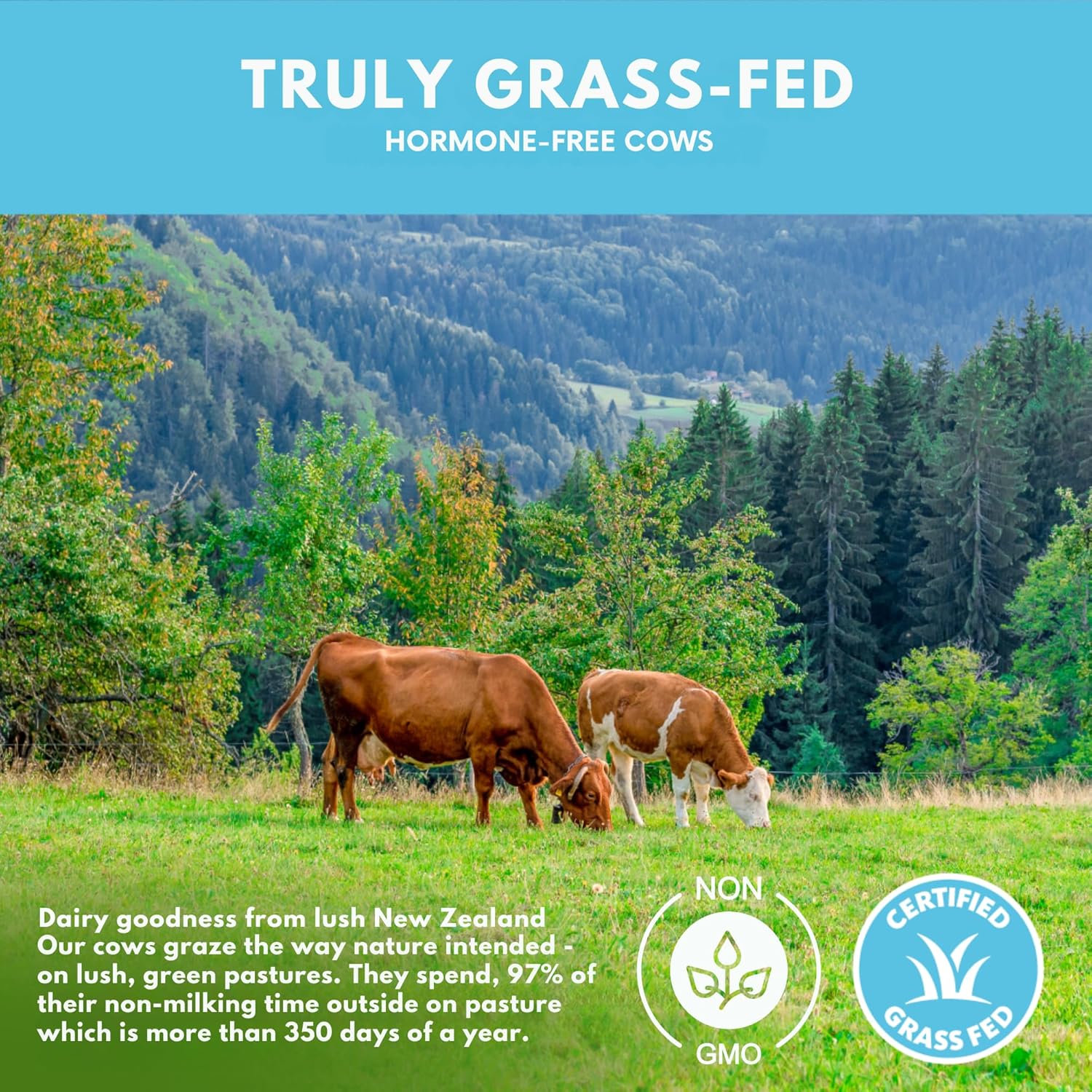Opportuniteas Grass Fed Whey Isolate Protein Powder - 28g Unflavored Protein, No Artificial Sweeteners, Hormone-Free Cows, Non GMO - 5lb - BoostGo Australia
