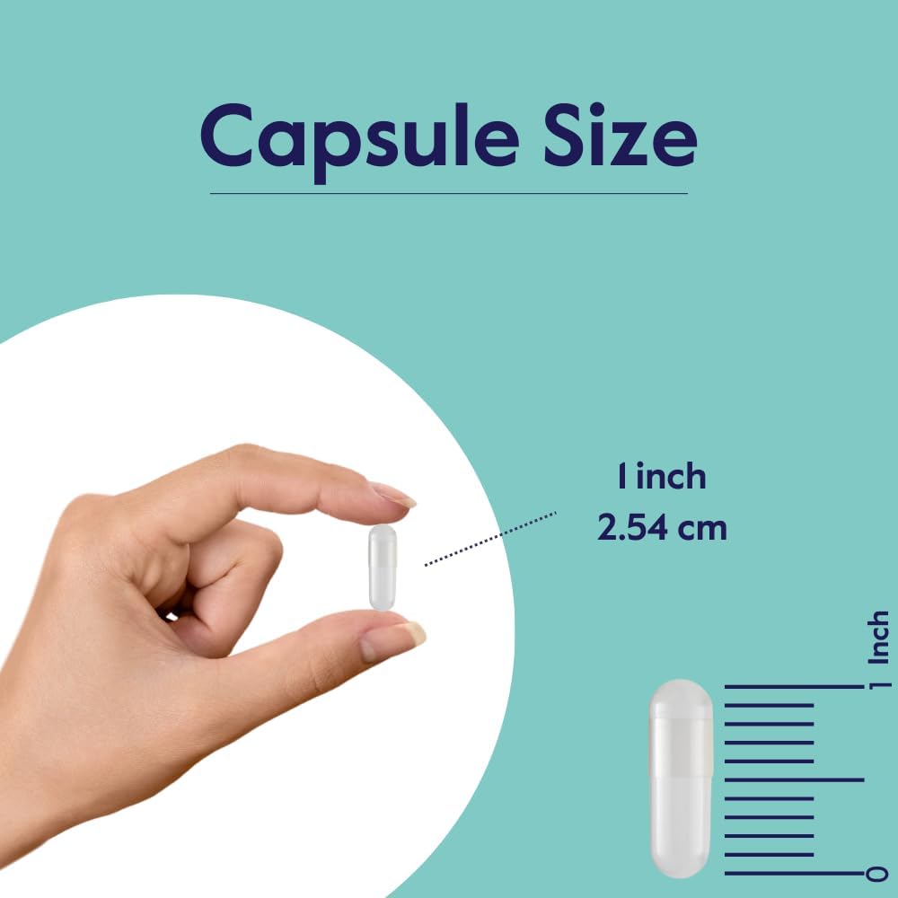 OptiMSM MSM 1000mg (480 Capsules, 240 x 2) - Joint Support Supplement, Non-GMO, Gluten-Free, No Stearates