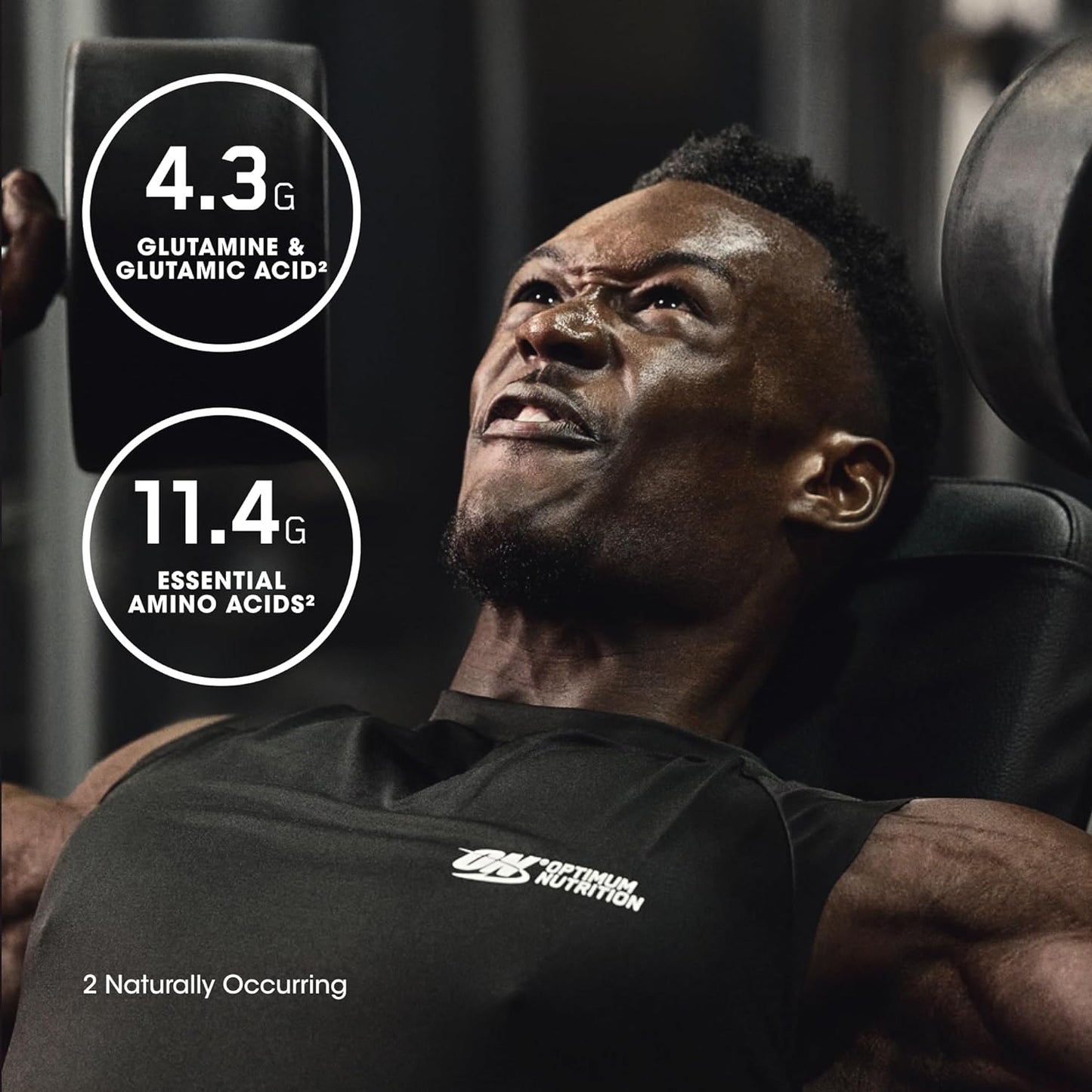 Optimum Nutrition Gold Standard 100% Isolate Vanilla Protein Powder - 2.91 lbs, 44 Servings