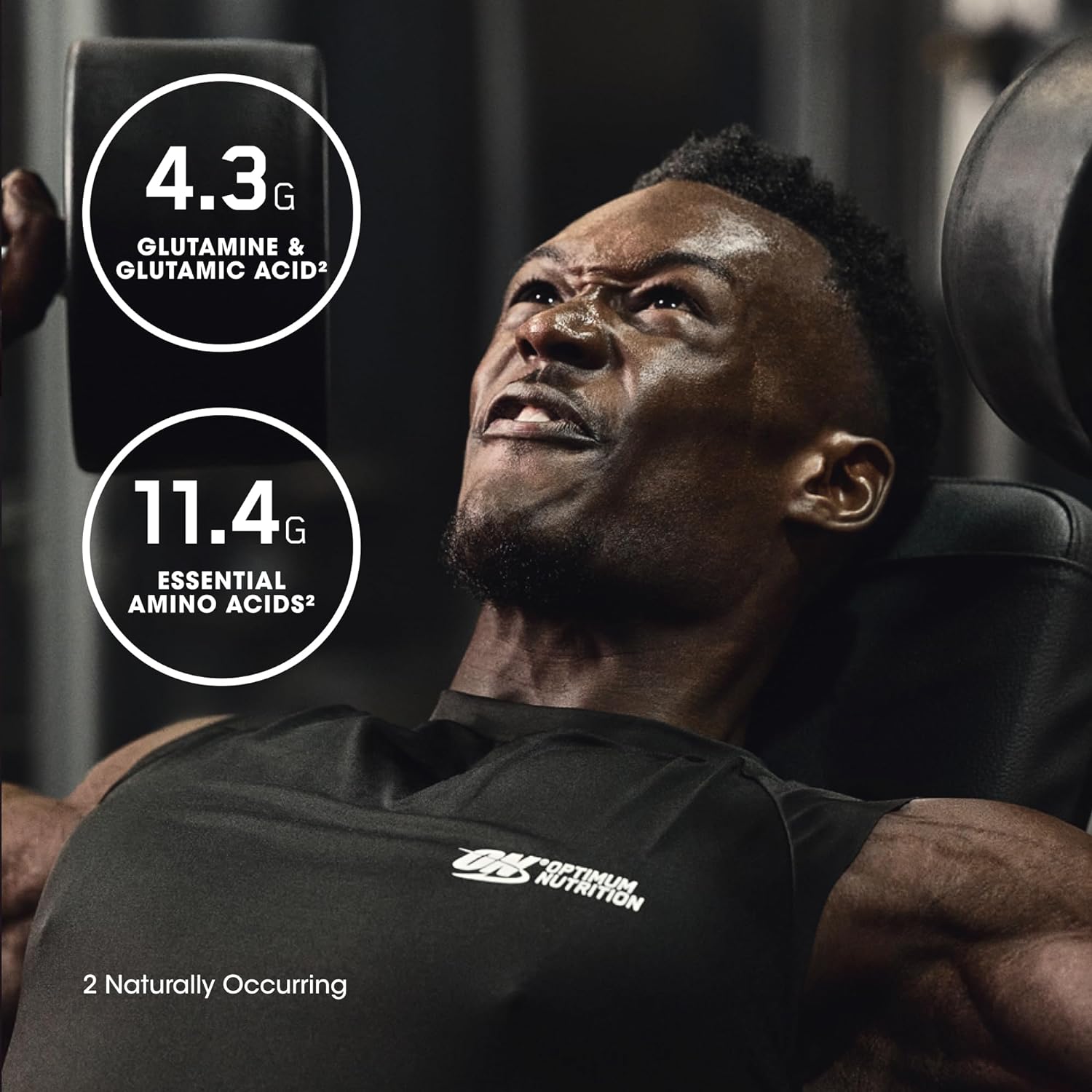 Optimum Nutrition Gold Standard 100% Isolate Vanilla Protein Powder - 2.91 lbs, 44 Servings