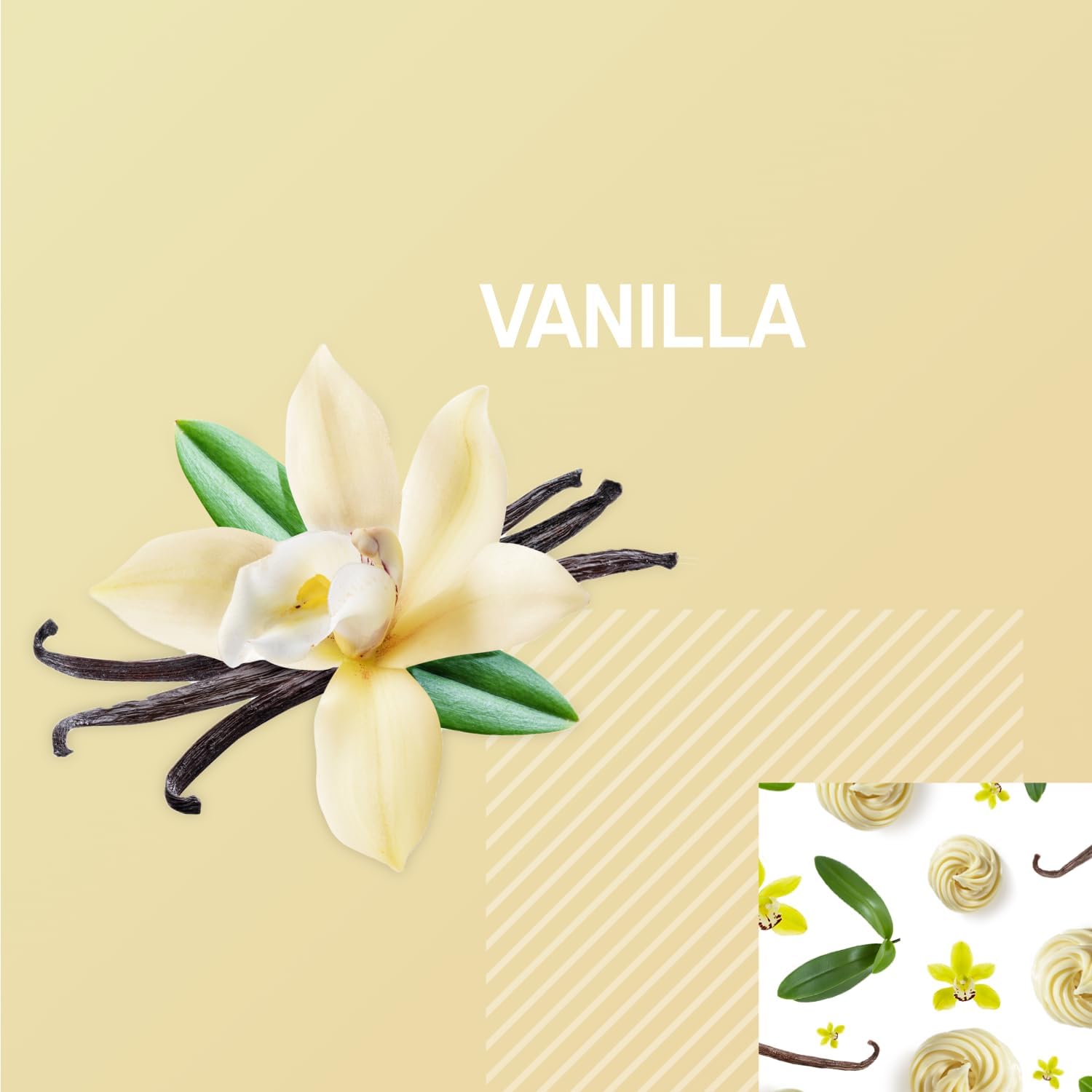 Optimum Nutrition Gold Standard Vanilla Protein Shake, 24g Protein, Ready-to-Drink, Gluten-Free, Immune Support, 11 Fl Oz, 12 Pack