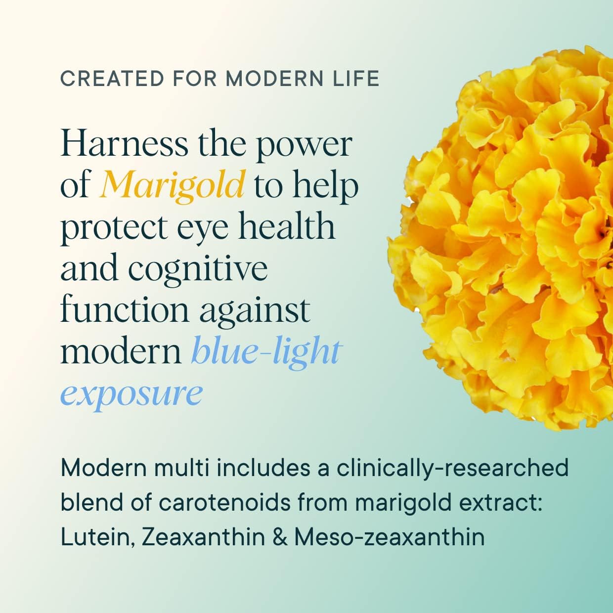 Ora Organic Plant-Based Multivitamin with Bluelight Protection for Women and Men - Supports Brain, Eye, Energy, Immune System, Skin, Hair, Heart, and Bone Health - 60 Vegan Capsules