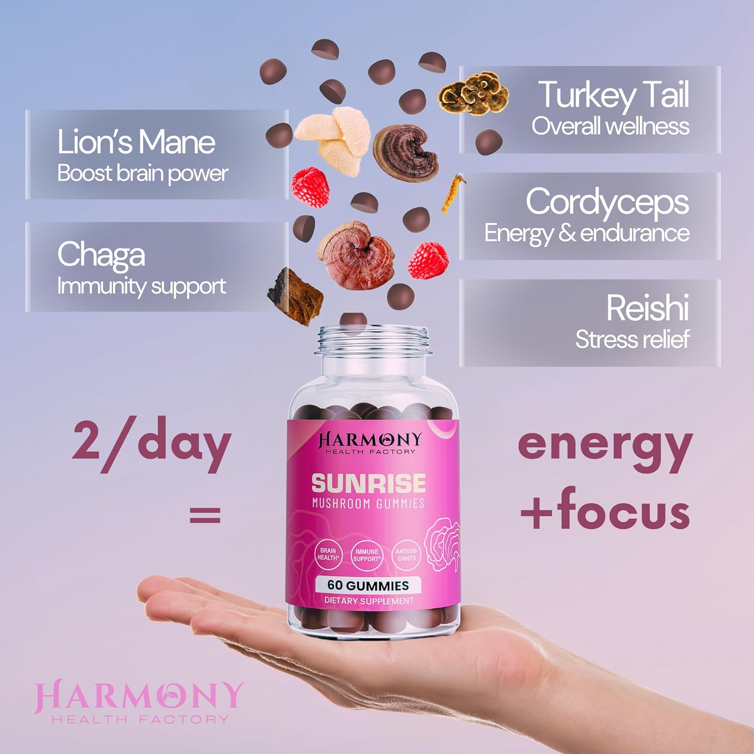 Organic 10x Potency Mushroom Supplement Gummies for Energy and Mood - Immune Support with Lion's Mane, Cordyceps, Reishi, Chaga, Turkey Tail - Nootropic Adaptogenic Raspberry Flavor - 60 Count