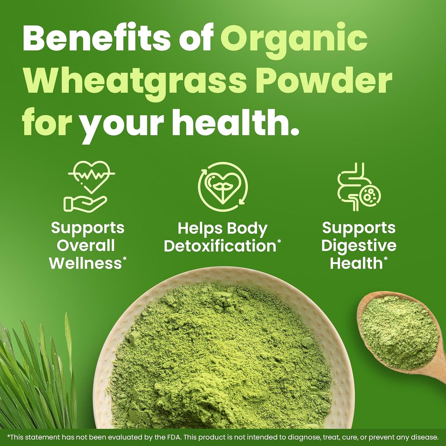 Organic 12 oz Siddhayu Wheatgrass Powder - All-Natural Superfood Supplement