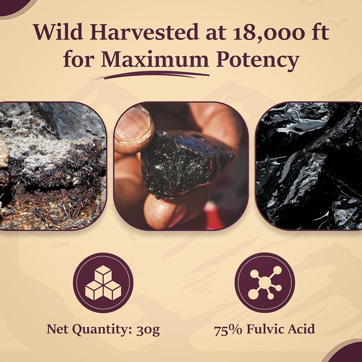 Organic 30g Himalayan Shilajit Resin - 120 Servings, 75%+ Fulvic Acid & 85+ Trace Minerals for Energy & Immune Support - Men and Women