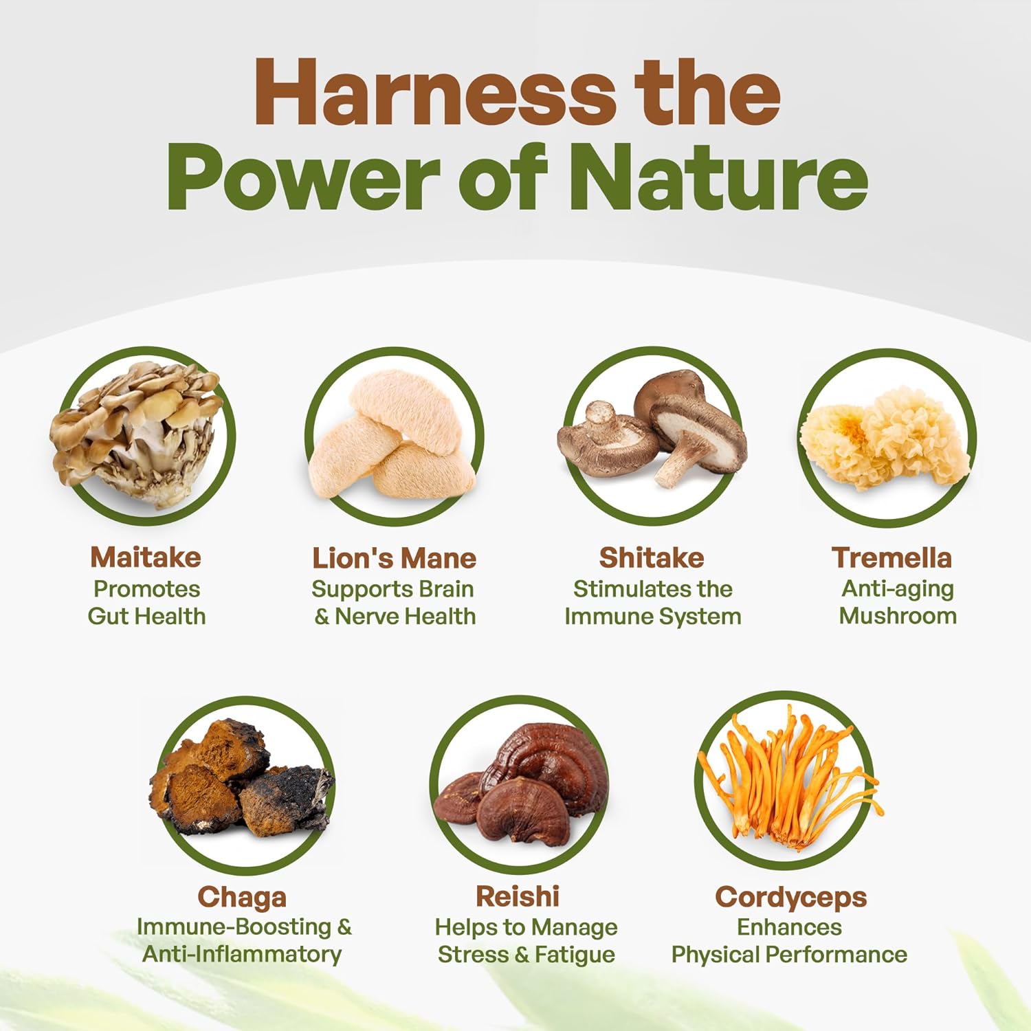 Organic 7 Mushroom Supplement Powder with Lion’s Mane, Chaga, Shiitake, Maitake, Reishi, Tremella, and Cordyceps - Non-GMO, Gluten-Free, Vegan - 4 oz