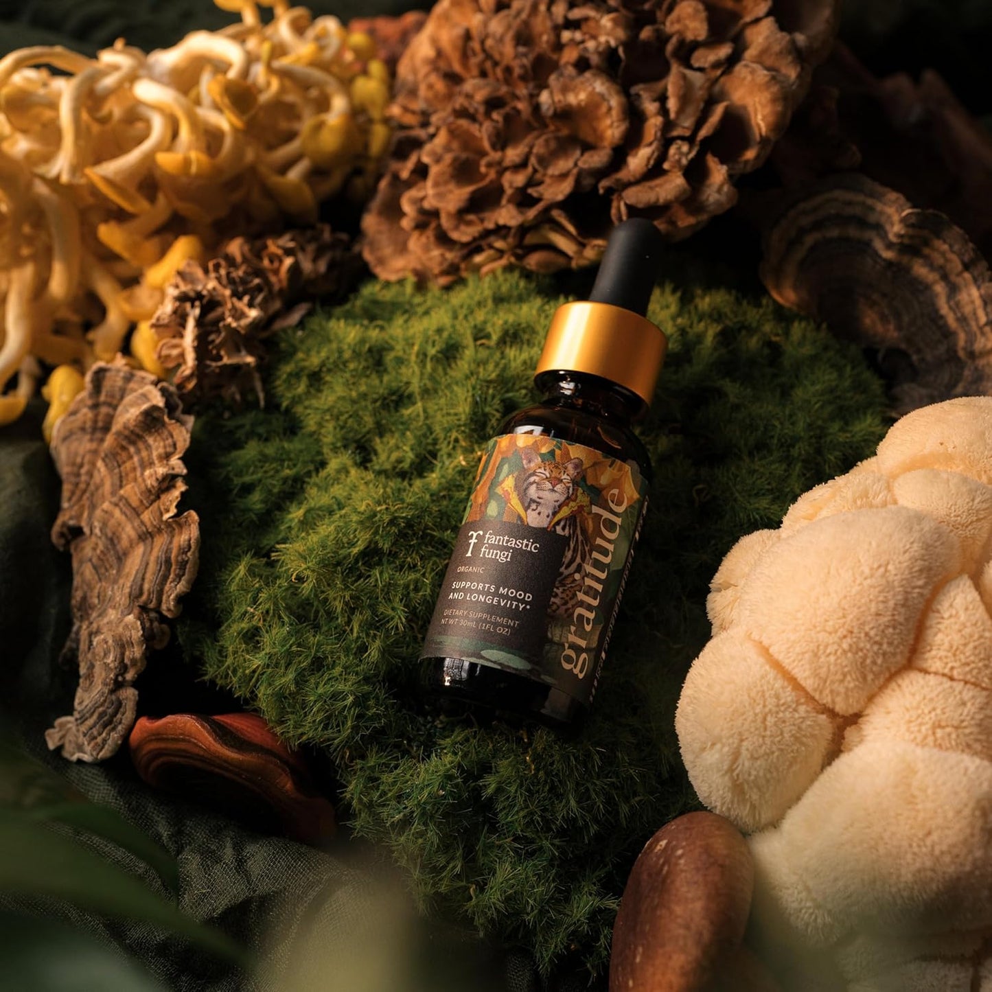 Organic 8 Mushroom Complex Liquid Drops - Mood, Immunity & Longevity Support - Lions Mane, Shiitake, Cordyceps & More - 30 Servings, 1 fl oz