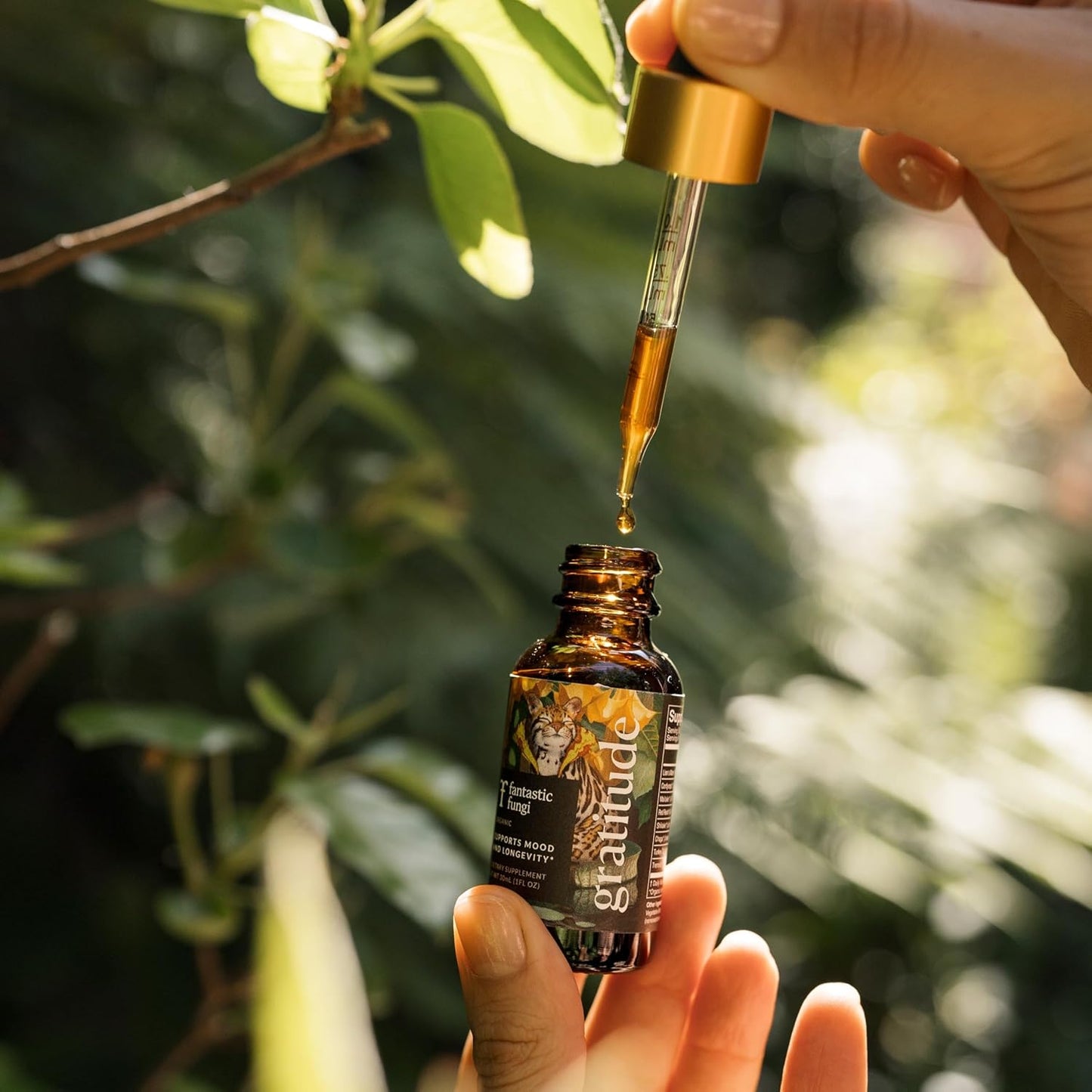 Organic 8 Mushroom Complex Liquid Drops - Mood, Immunity & Longevity Support - Lions Mane, Shiitake, Cordyceps & More - 30 Servings, 1 fl oz