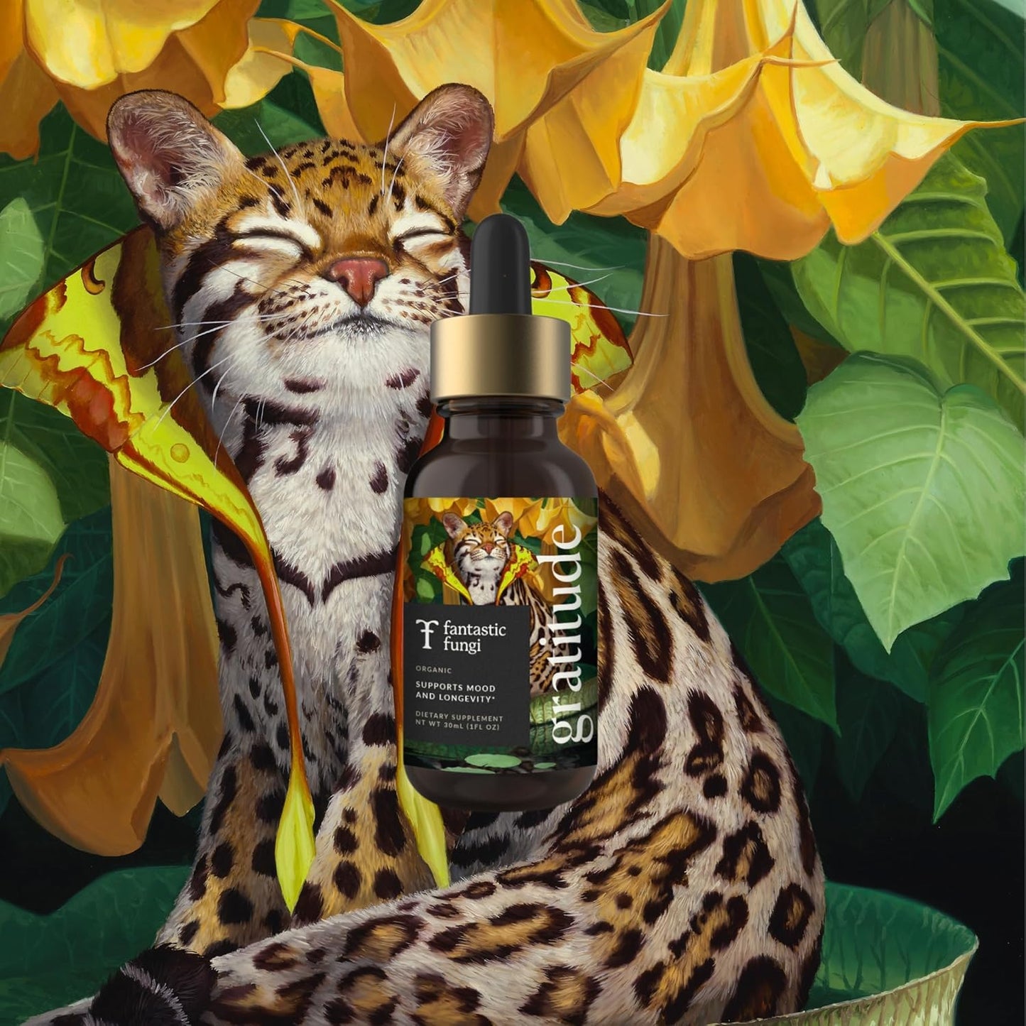 Organic 8 Mushroom Complex Liquid Drops - Mood, Immunity & Longevity Support - Lions Mane, Shiitake, Cordyceps & More - 30 Servings, 1 fl oz