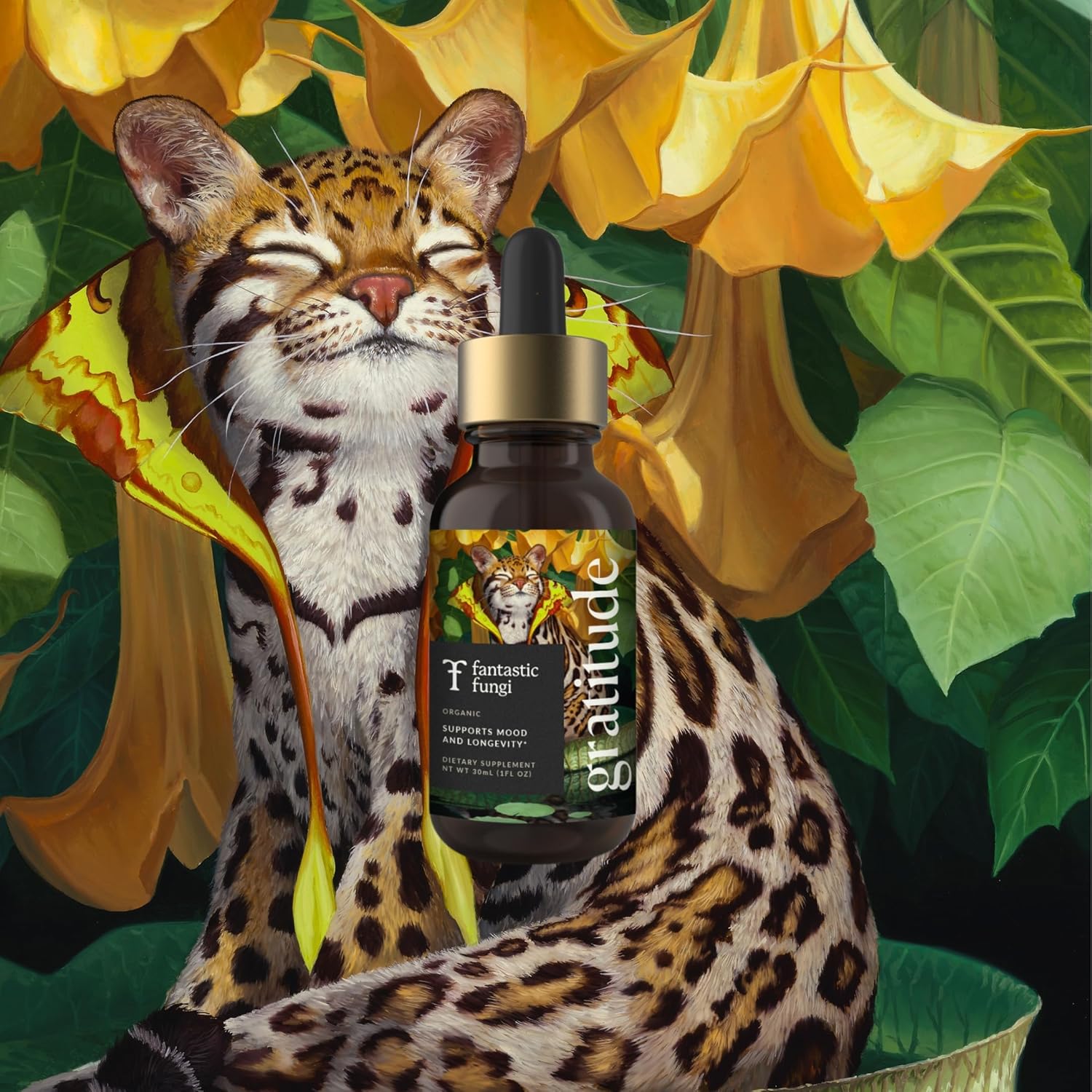 Organic 8 Mushroom Complex Liquid Drops - Mood, Immunity & Longevity Support - Lions Mane, Shiitake, Cordyceps & More - 30 Servings, 1 fl oz