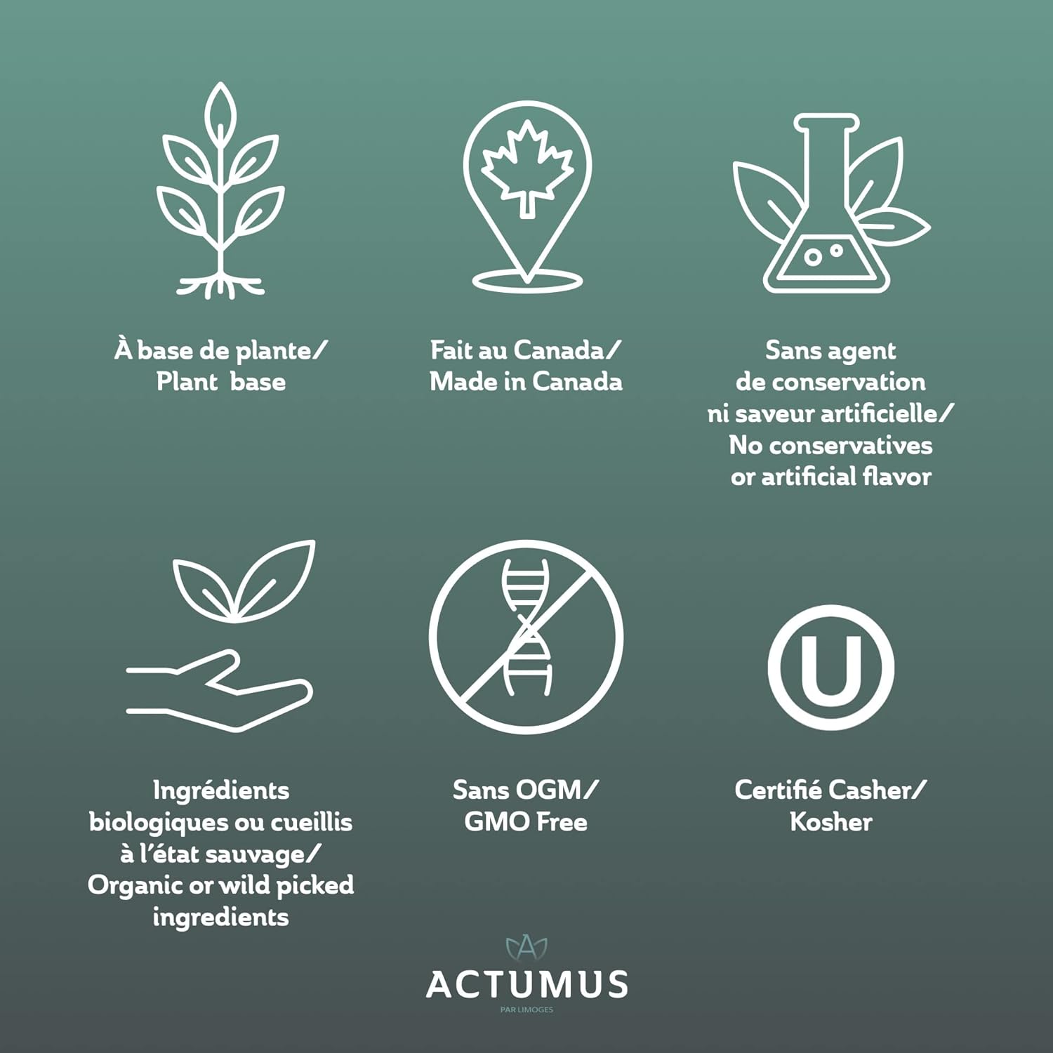 Organic ACTUMUS Alka-Force Lime Tonic Powder with Vitamins & Minerals - 284g Bottle, Antioxidants & Amino Acids