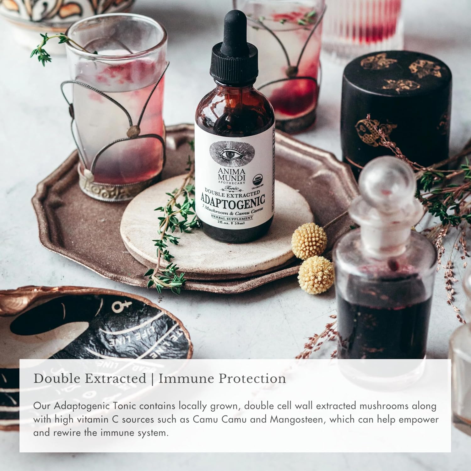 Organic Adaptogenic Mushroom Drops - Immune Support Tincture with 7 Mushroom Extracts (2oz)