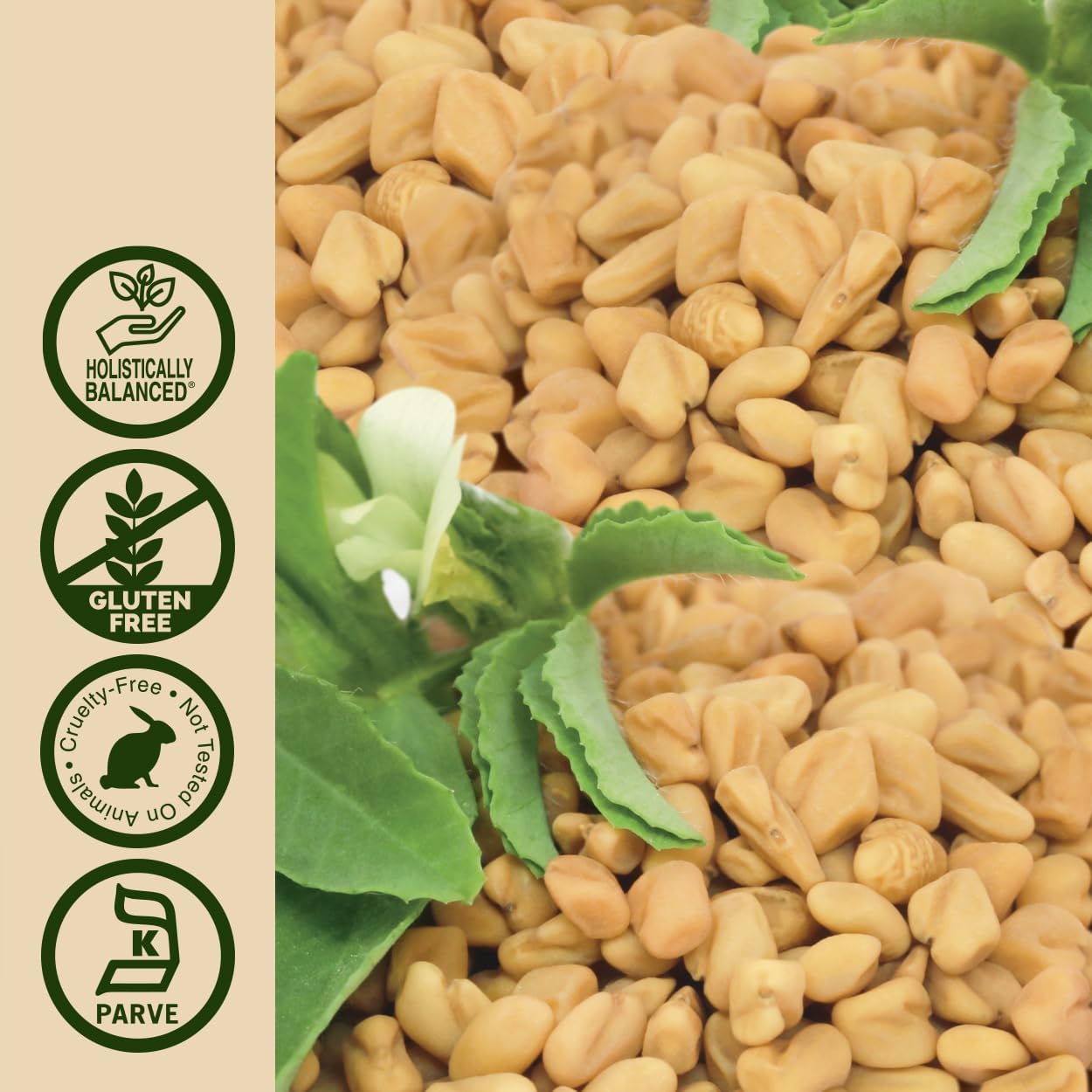Organic Alcohol Fenugreek Seed Tincture - 1oz | Female Reproductive & Menopause Support | Lactation Aid for Mothers | Natural Herbal Supplement