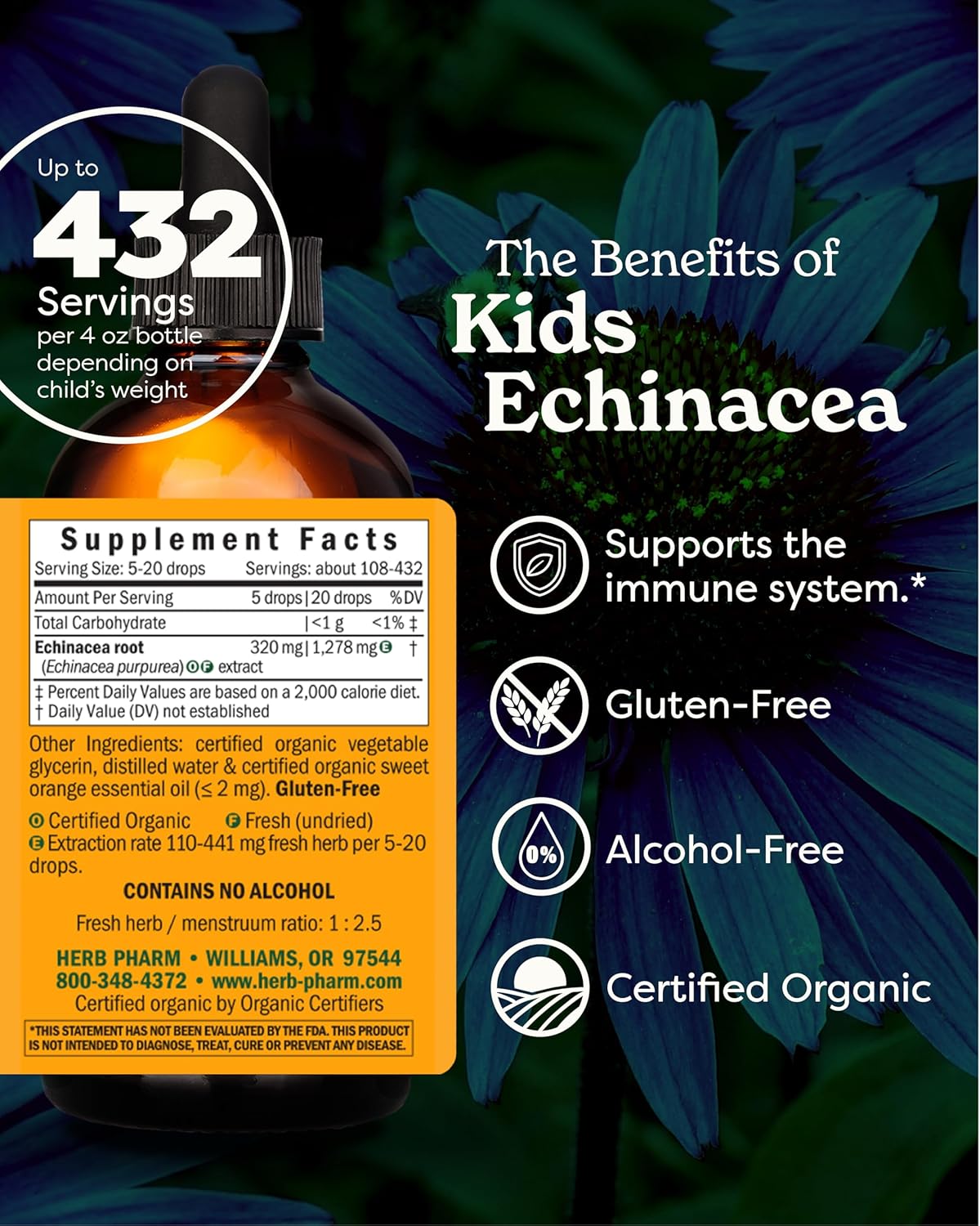 Organic Alcohol-Free Echinacea Glycerite Liquid Extract for Kids - 4 oz by Herb Pharm