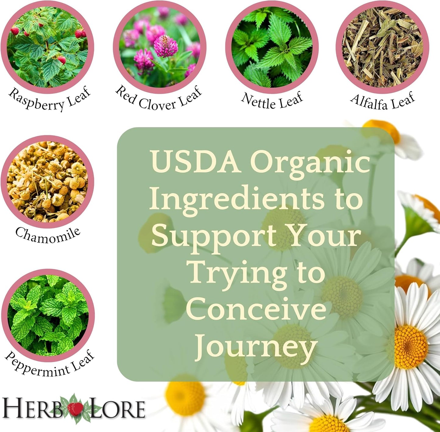 Organic Alcohol-Free Liquid Fertility Support Tincture for Women by Herb Lore