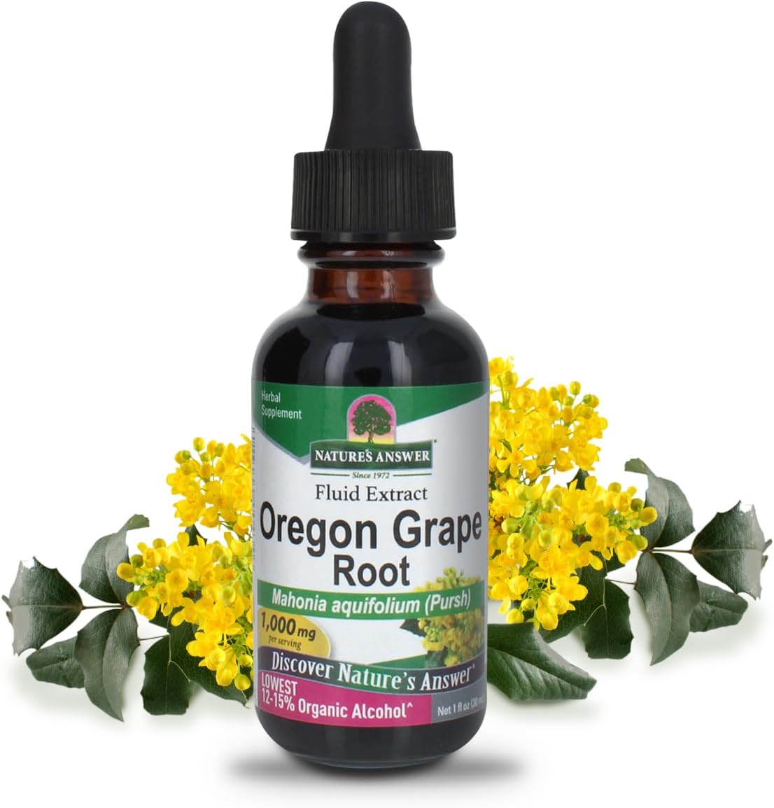 Organic Alcohol-Free Oregon Grape Root Extract 1oz | Promotes Wellness | Vegan, Non-GMO, Gluten-Free, Kosher | Single Bottle