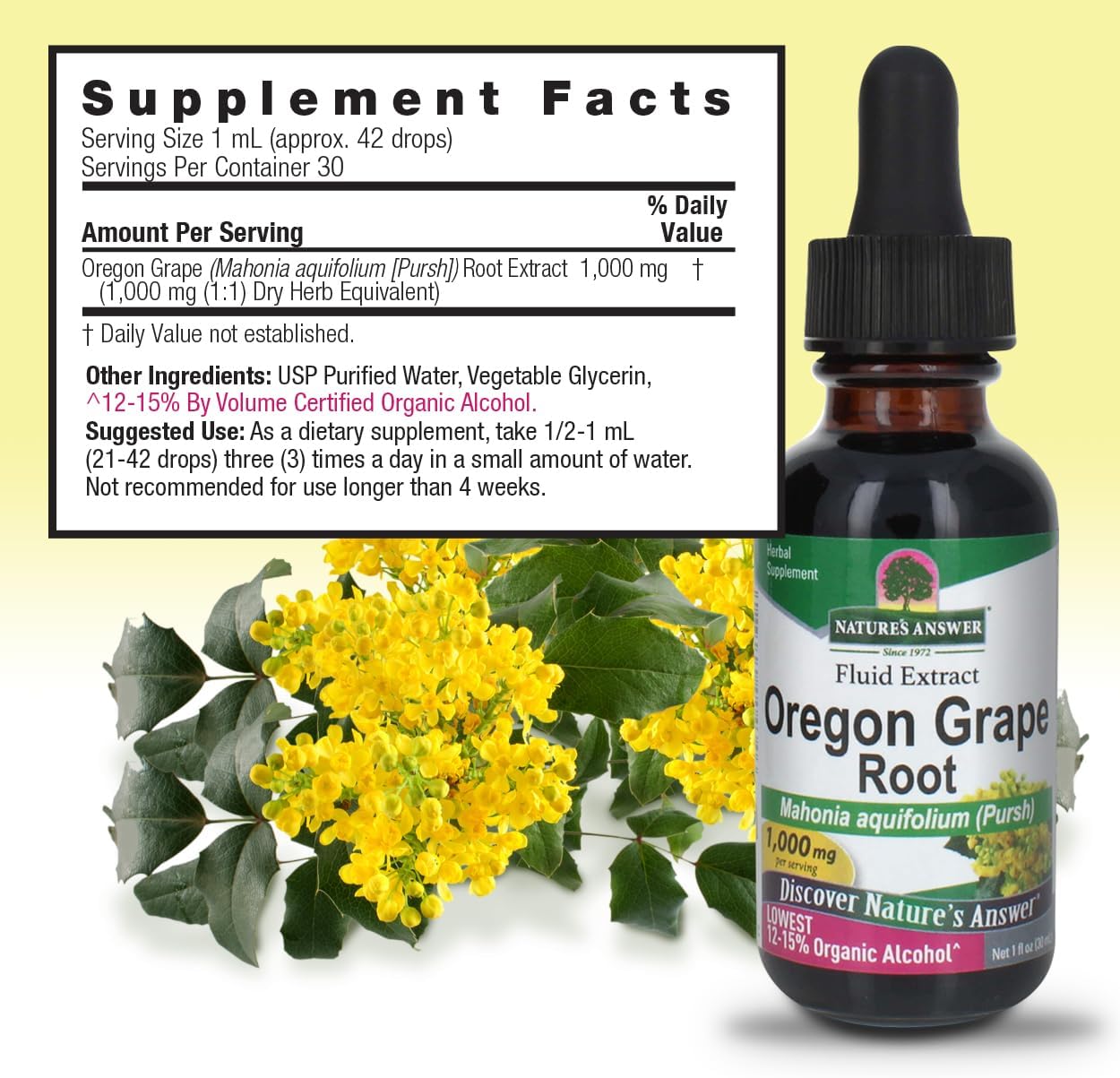 Organic Alcohol-Free Oregon Grape Root Extract 1oz | Promotes Wellness | Vegan, Non-GMO, Gluten-Free, Kosher | Single Bottle