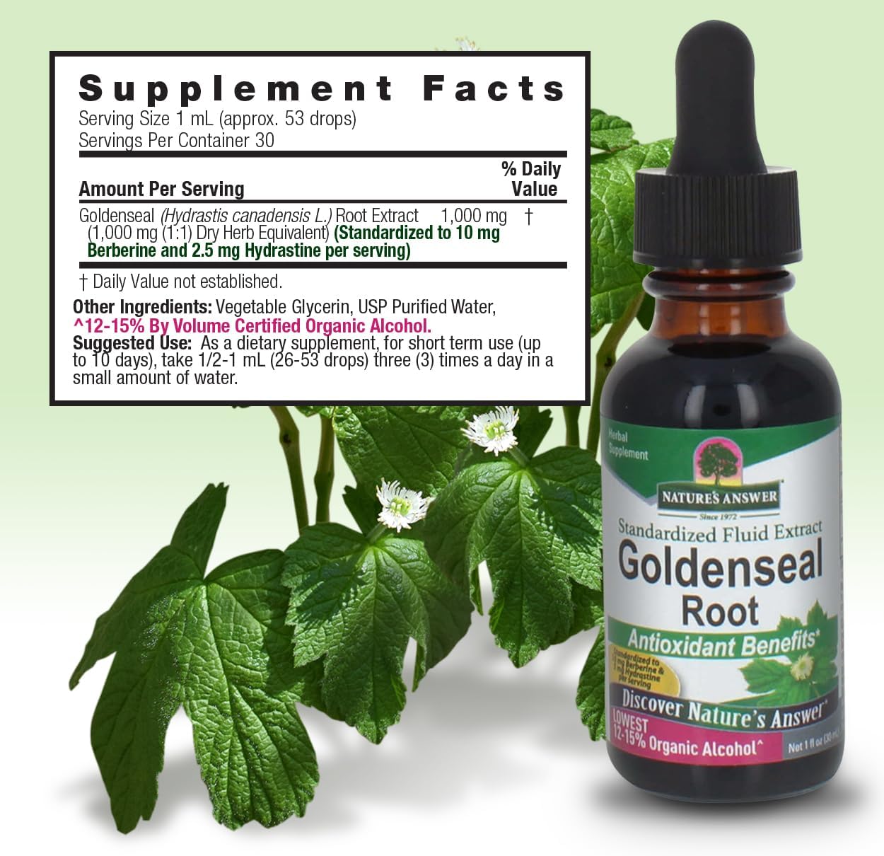 Organic Alcohol Goldenseal Root Liquid Extract 1 fl oz | Immune Support & Wellness Booster | Gluten-Free | Single Bottle