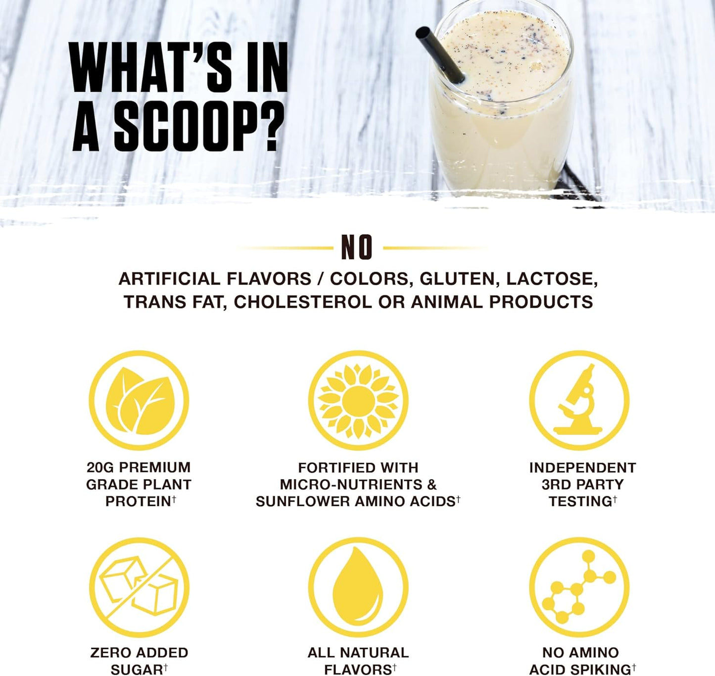 Organic Ambrosia Planta Plant-Based Protein - Vegan & Keto Friendly with Gourmet Vanilla Flavor | Gluten & Soy Free | No Added Sugar | 14 Servings