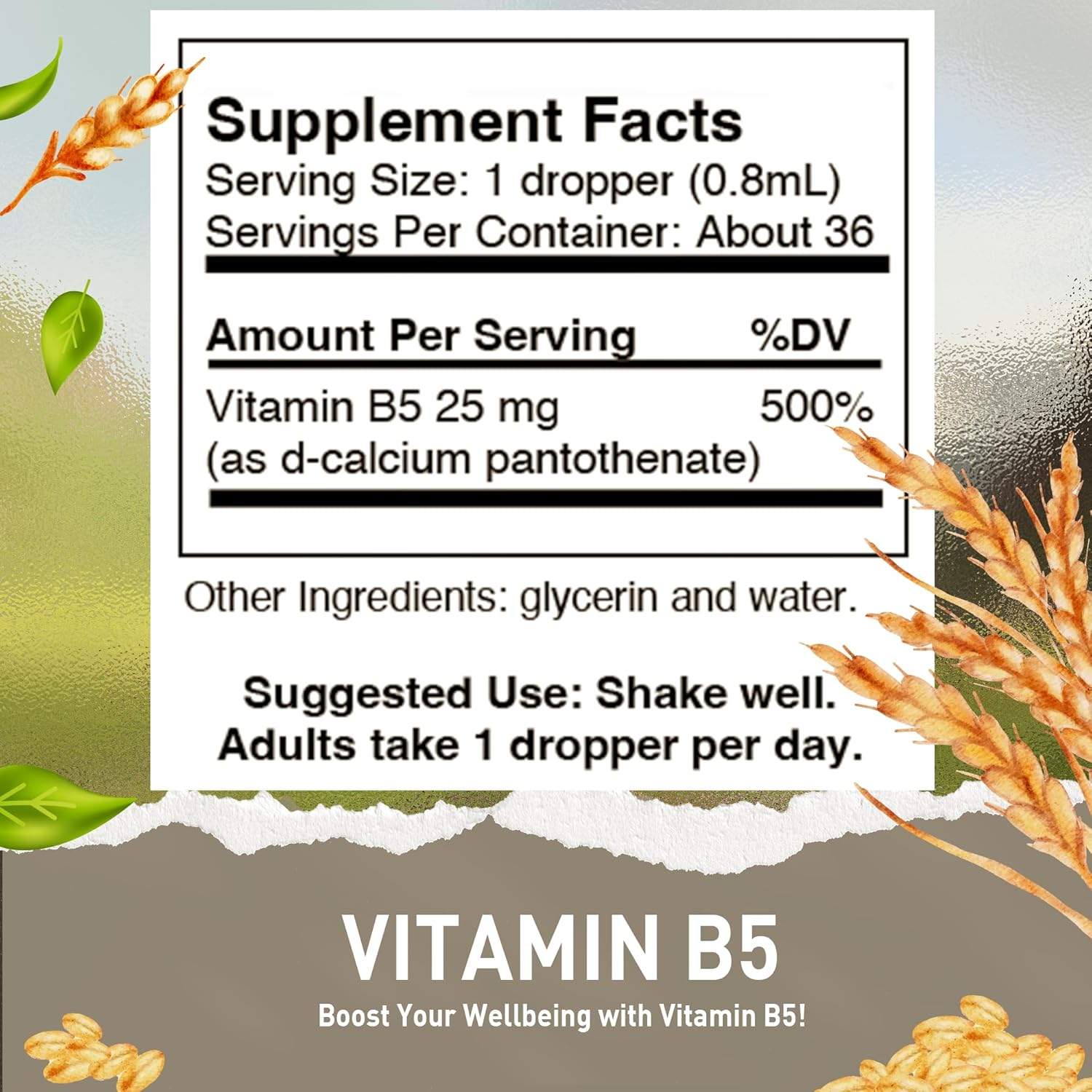 Organic Amish HoneyCombs Vitamin B5 Drops - Liquid Formula for Hormone Balance, Immune Health, Hair, Skin & Nails - Vegan & Alcohol-Free - 1 Fl Oz
