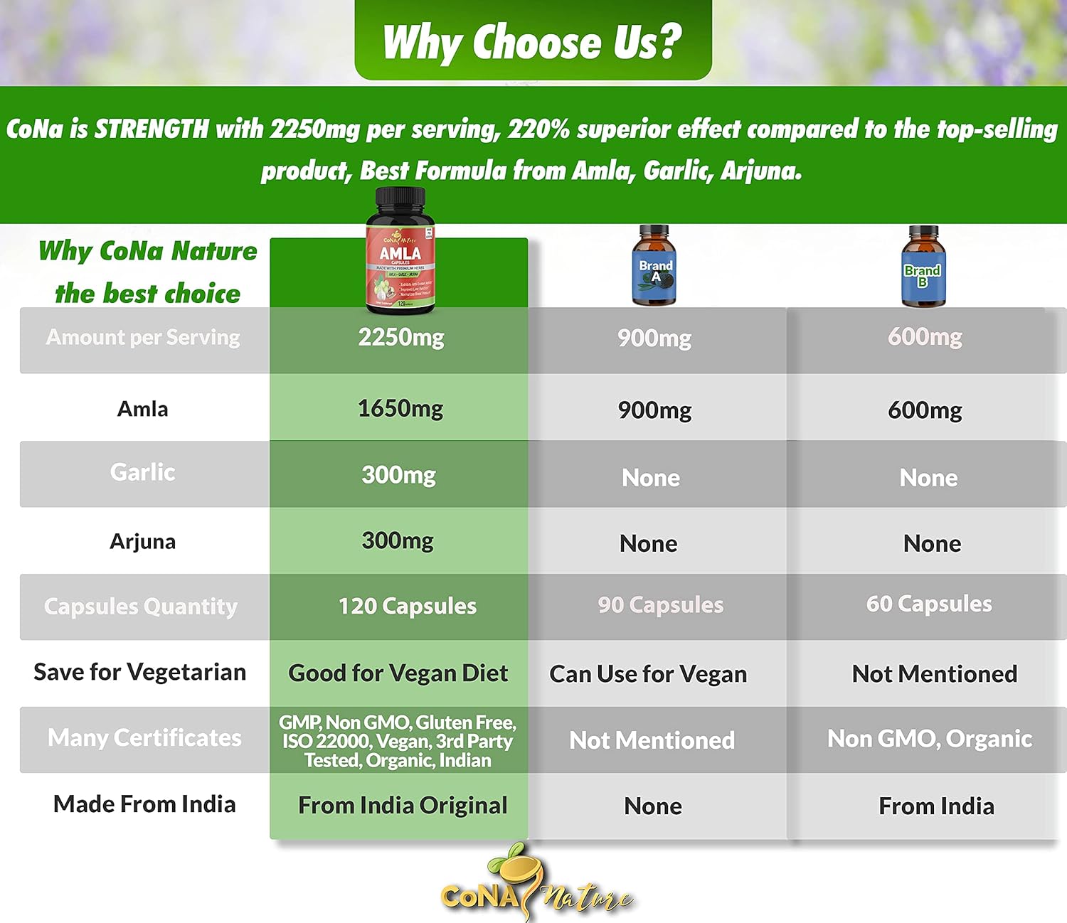 Organic Amla and Arjuna Capsules with Garlic - High Antioxidants and Immunity Support - 2250mg Natural Vitamin C Supplements - Energy Booster - 120 Capsules