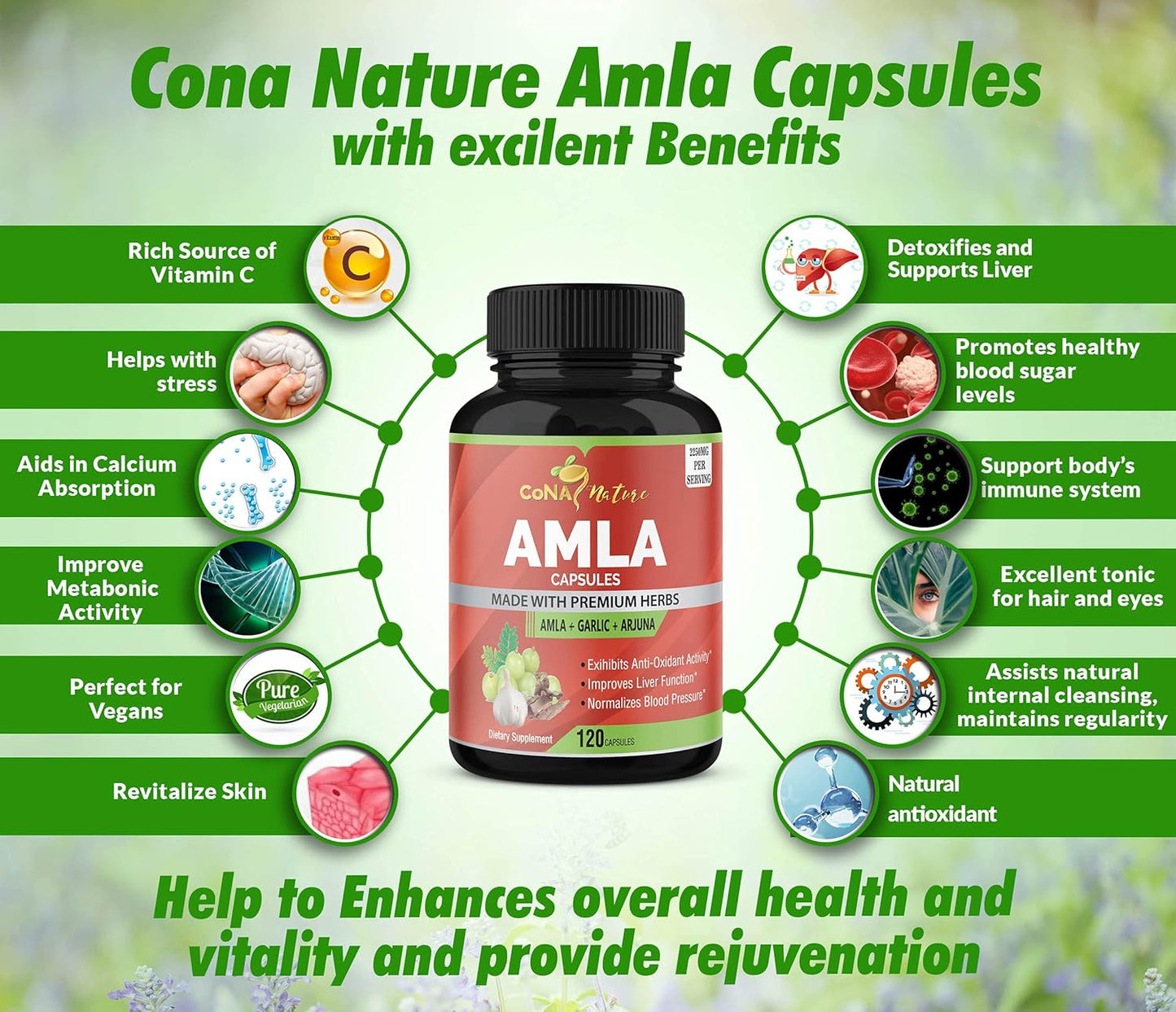 Organic Amla and Arjuna Capsules with Garlic - High Antioxidants and Immunity Support - 2250mg Natural Vitamin C Supplements - Energy Booster - 120 Capsules