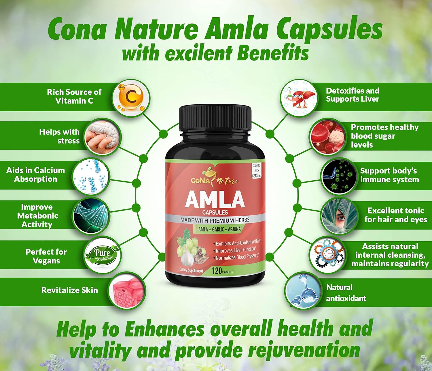 Organic Amla and Arjuna Capsules with Garlic - High Antioxidants and Immunity Support - 2250mg Natural Vitamin C Supplements - Energy Booster - 120 Capsules