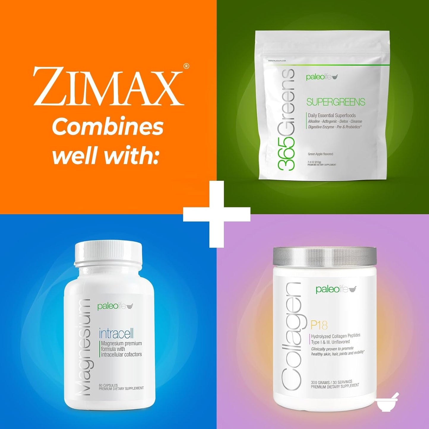 Organic Antioxidant Blend with Curcumin, Rosemary Extract, and Grape Seed Extract - High Absorption Formula - 90g Canister - 100% Natural