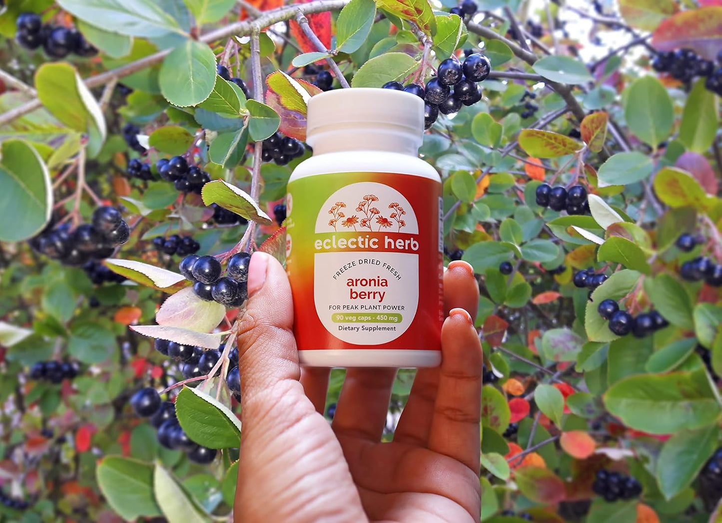 Organic Aronia Berry Capsules - Supports Heart, Immune System, Digestive & Urinary Tract - 90 CT (450 mg)