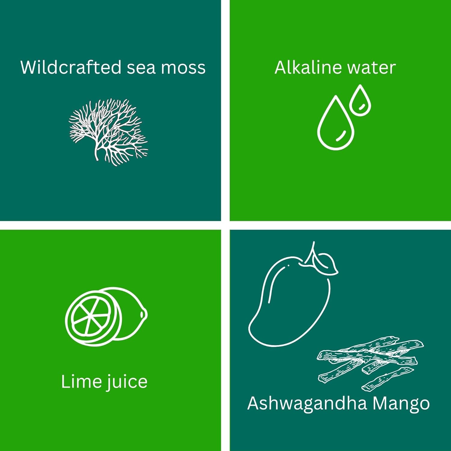 Organic Ashwagandha Mango Sea Moss Gel - 24oz | 25 Flavors | Saint Lucia Wildcrafted Gold Sea Moss - 92 Vitamins & Minerals | Raw & Non-GMO
