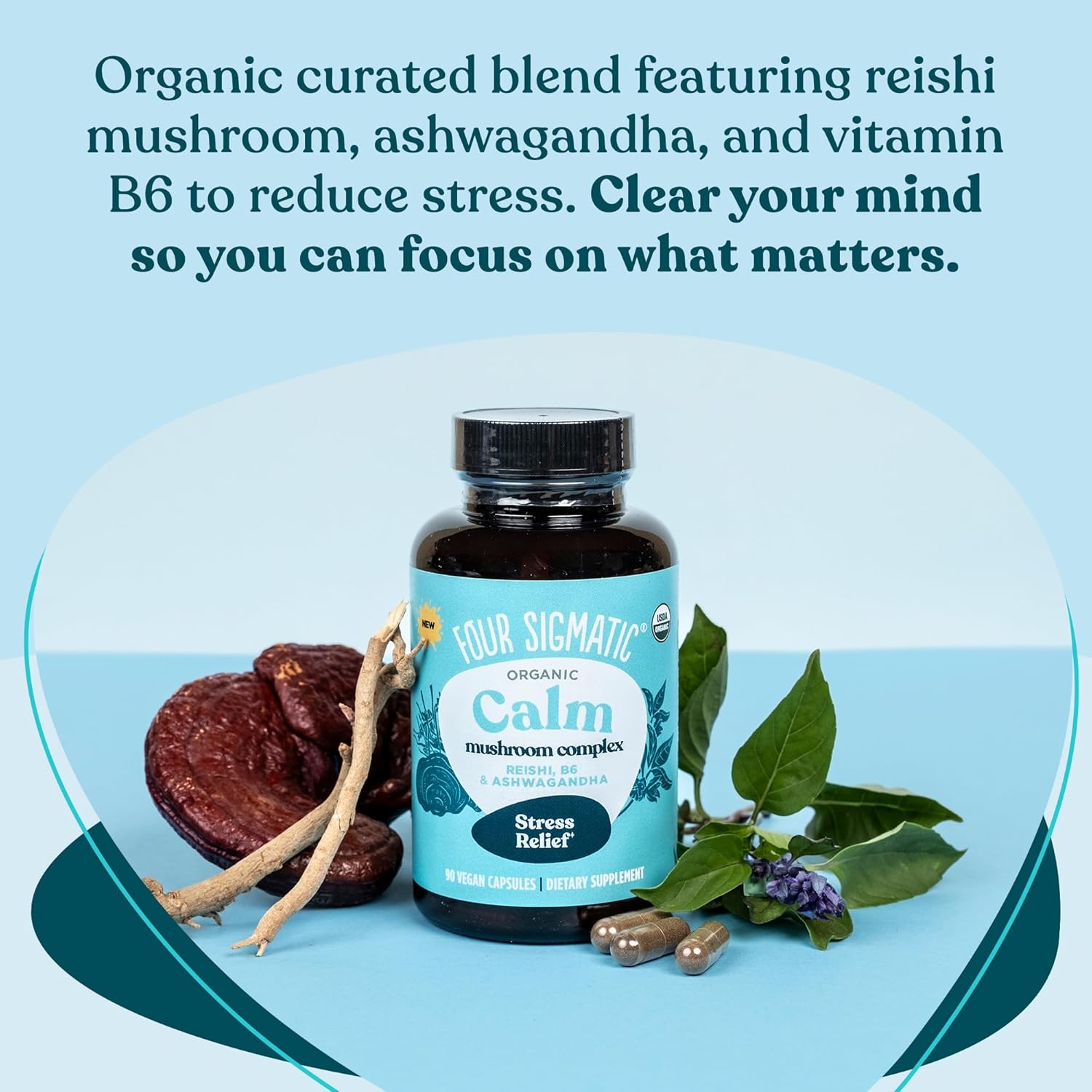 Organic Ashwagandha & Reishi Stress Relief Capsules - Vegan Mood Support Supplement with Tulsi & Vitamin B6 - 30 Servings
