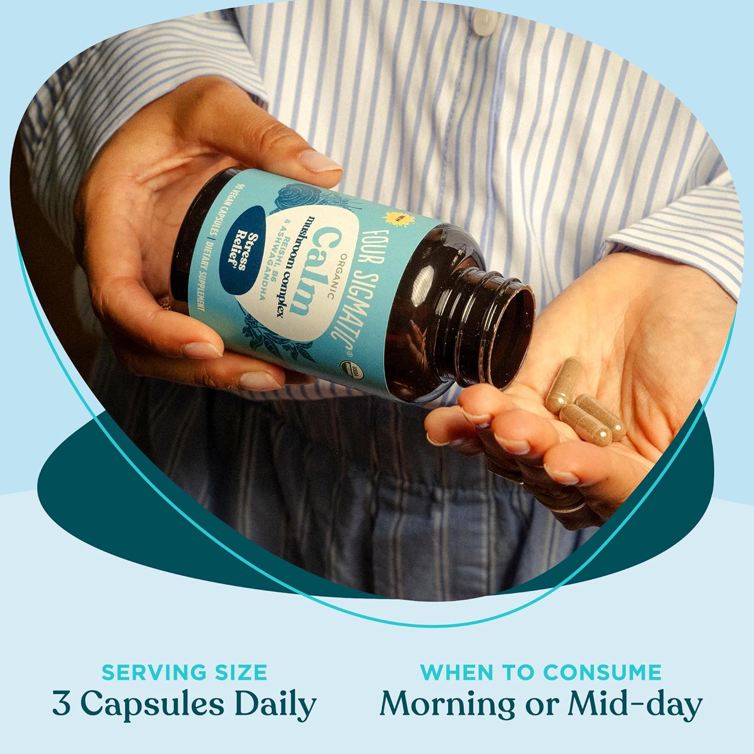Organic Ashwagandha & Reishi Stress Relief Capsules - Vegan Mood Support Supplement with Tulsi & Vitamin B6 - 30 Servings