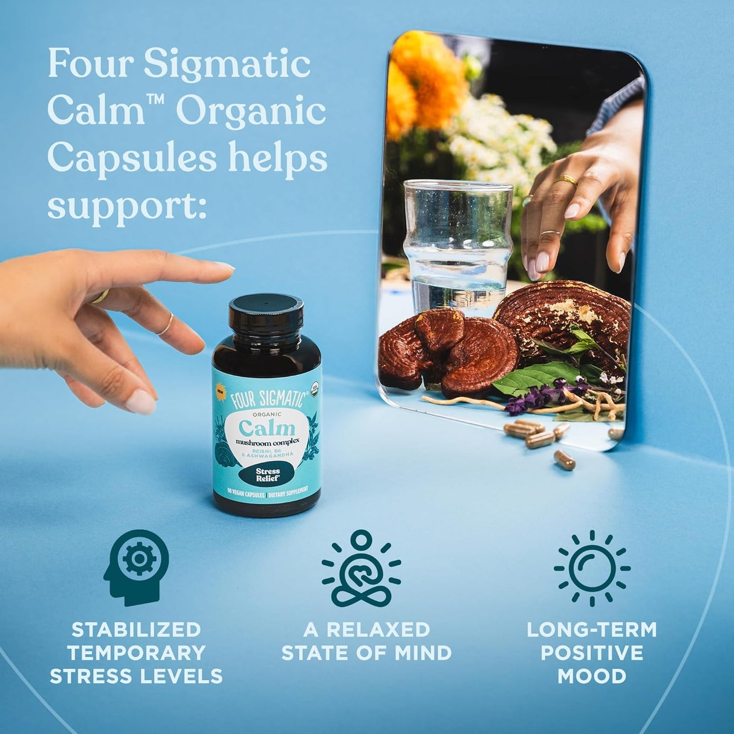 Organic Ashwagandha & Reishi Stress Relief Capsules - Vegan Mood Support Supplement with Tulsi & Vitamin B6 - 30 Servings