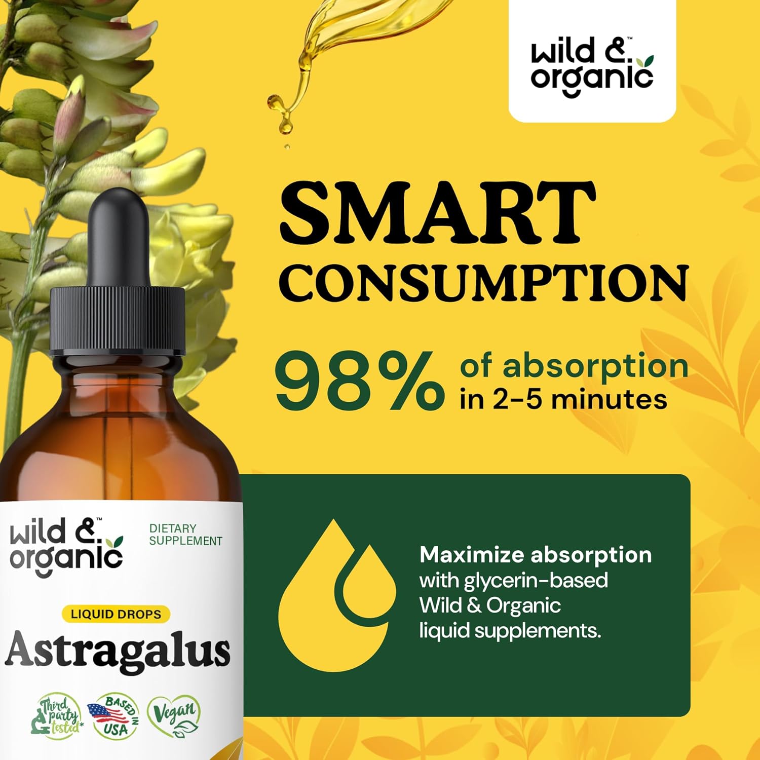 Organic Astragalus Root Extract Tincture - Immune Support Supplement for Vegan Immunity - Alcohol and Sugar-Free 4 fl oz Drops