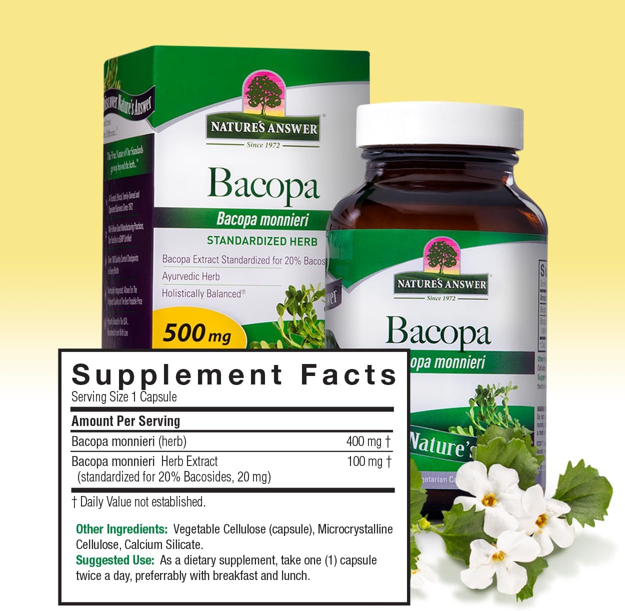 Organic Bacopa 500mg Capsules for Cognitive Function Support - 90ct Vegan Gluten-Free Non-GMO Formula with No Preservatives or Artificial Flavors