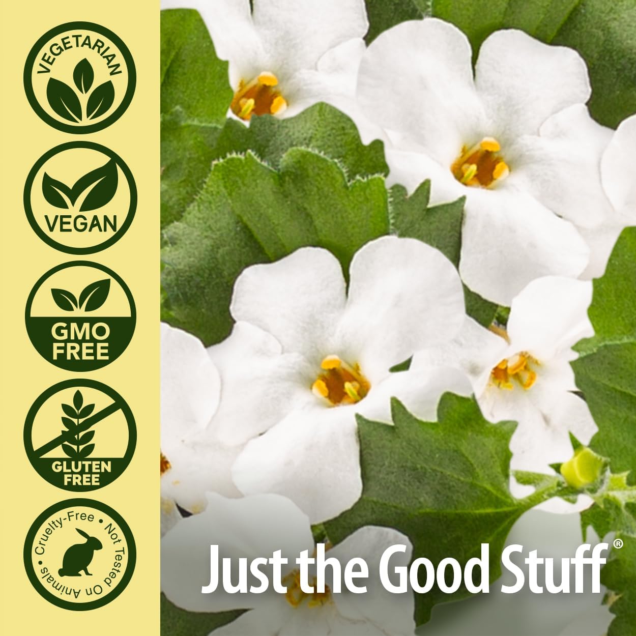 Organic Bacopa 500mg Capsules for Cognitive Function Support - 90ct Vegan Gluten-Free Non-GMO Formula with No Preservatives or Artificial Flavors